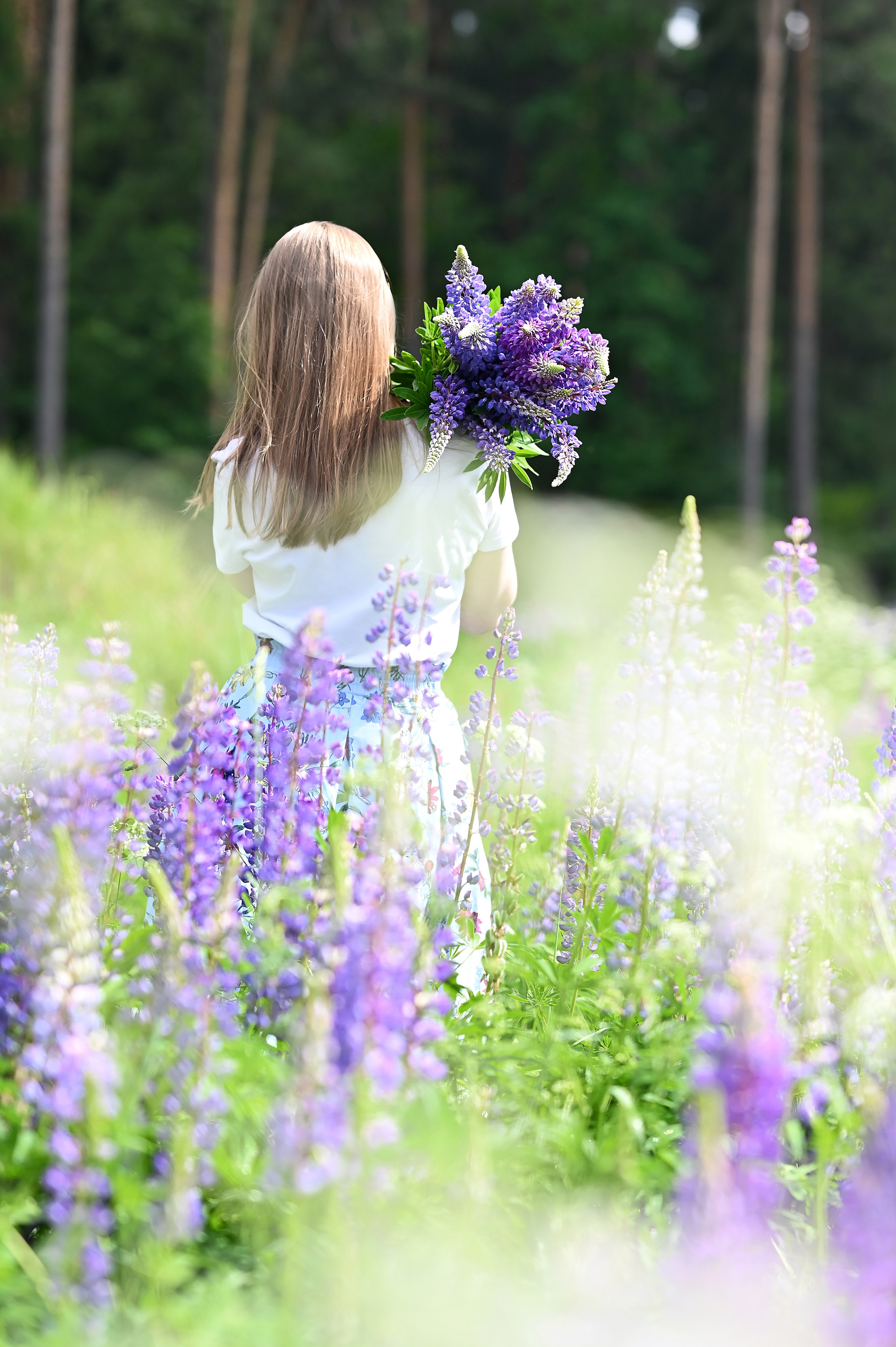 Анна и люпины. Фотограф Москва и Московская область Мария Кузьмина