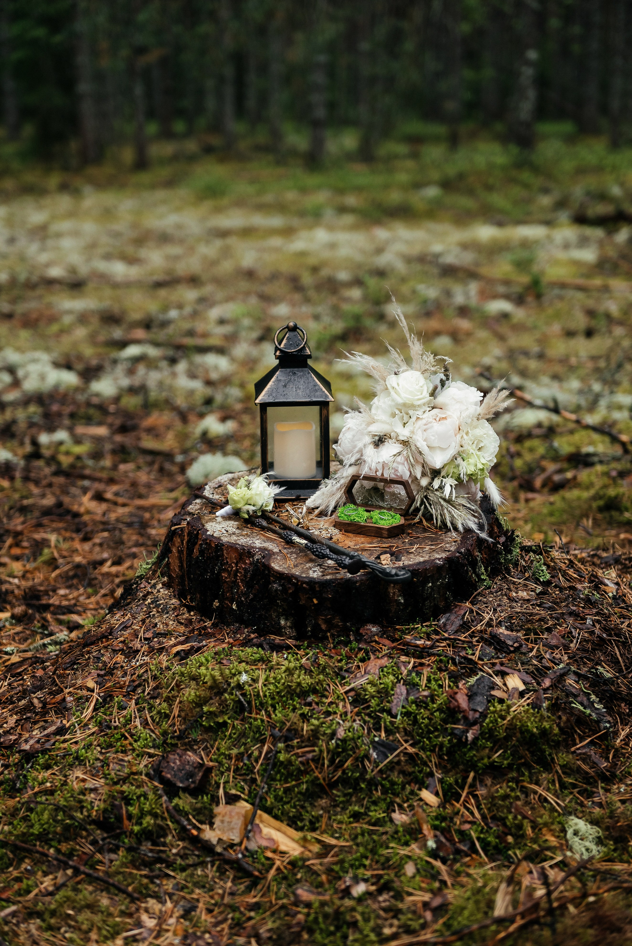 Никита и Софья. Zhulanovilya