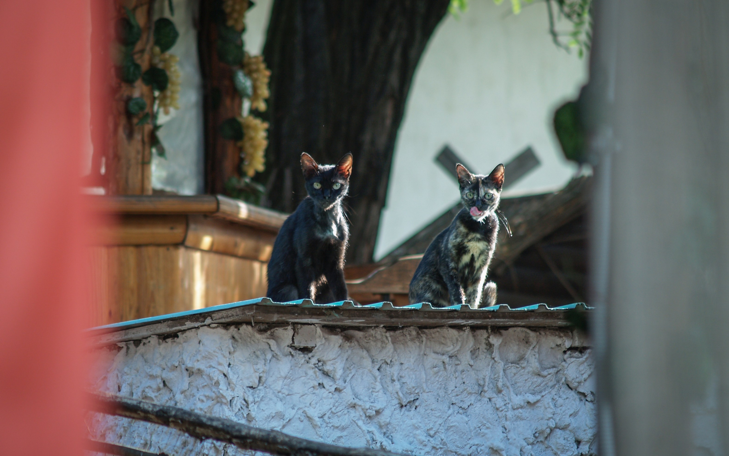 Городской пейзаж. Фотограф Владимир Охрименко