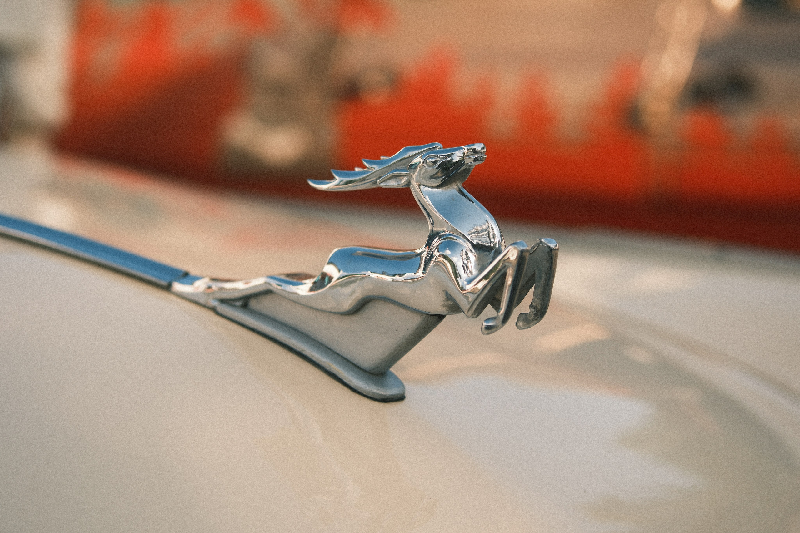 Репортажный фотограф Нижнекамск цки база Максим липин 