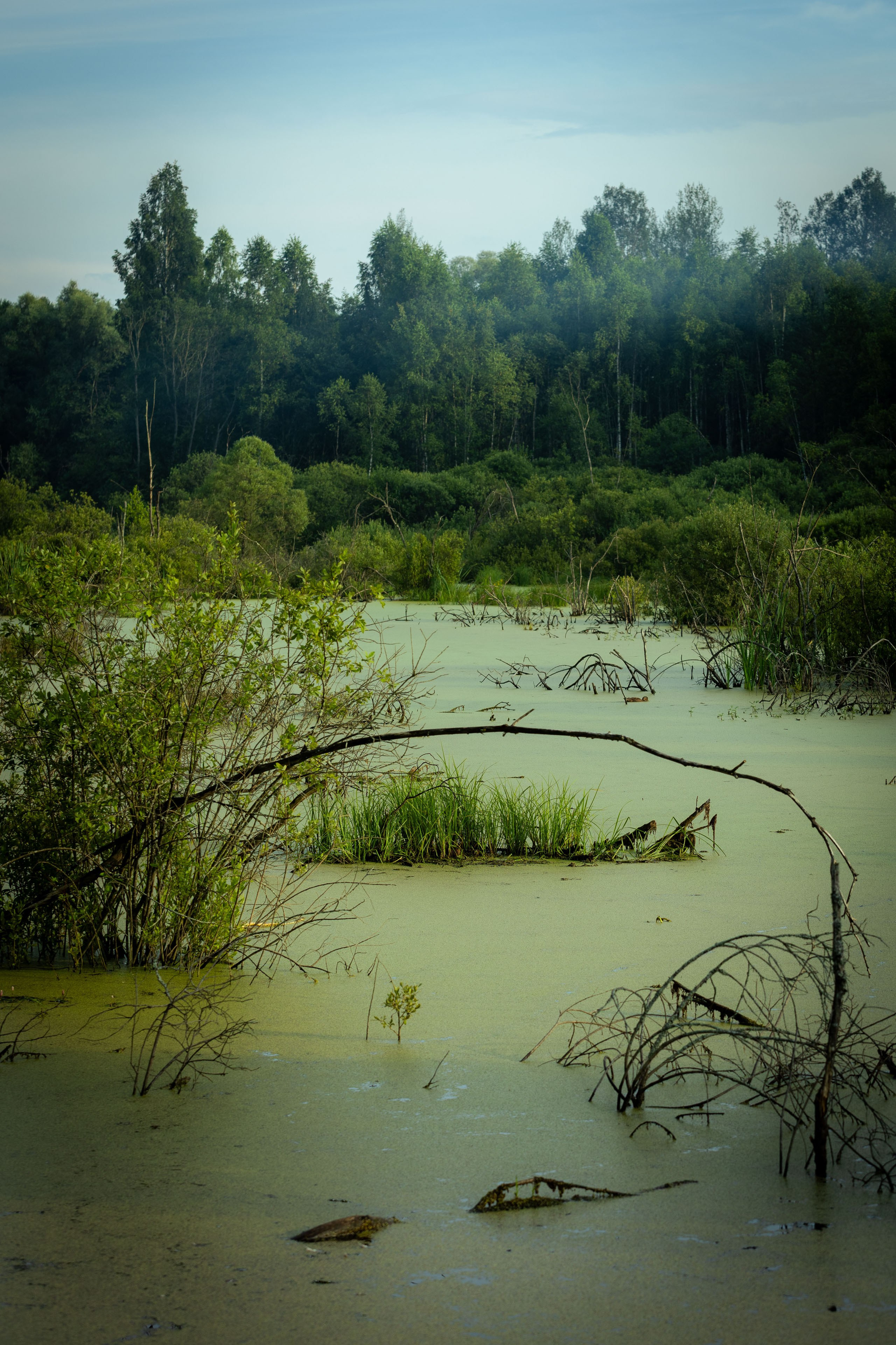 Архстояние 25–27 июля 2025. Фотограф Виноградов Константин