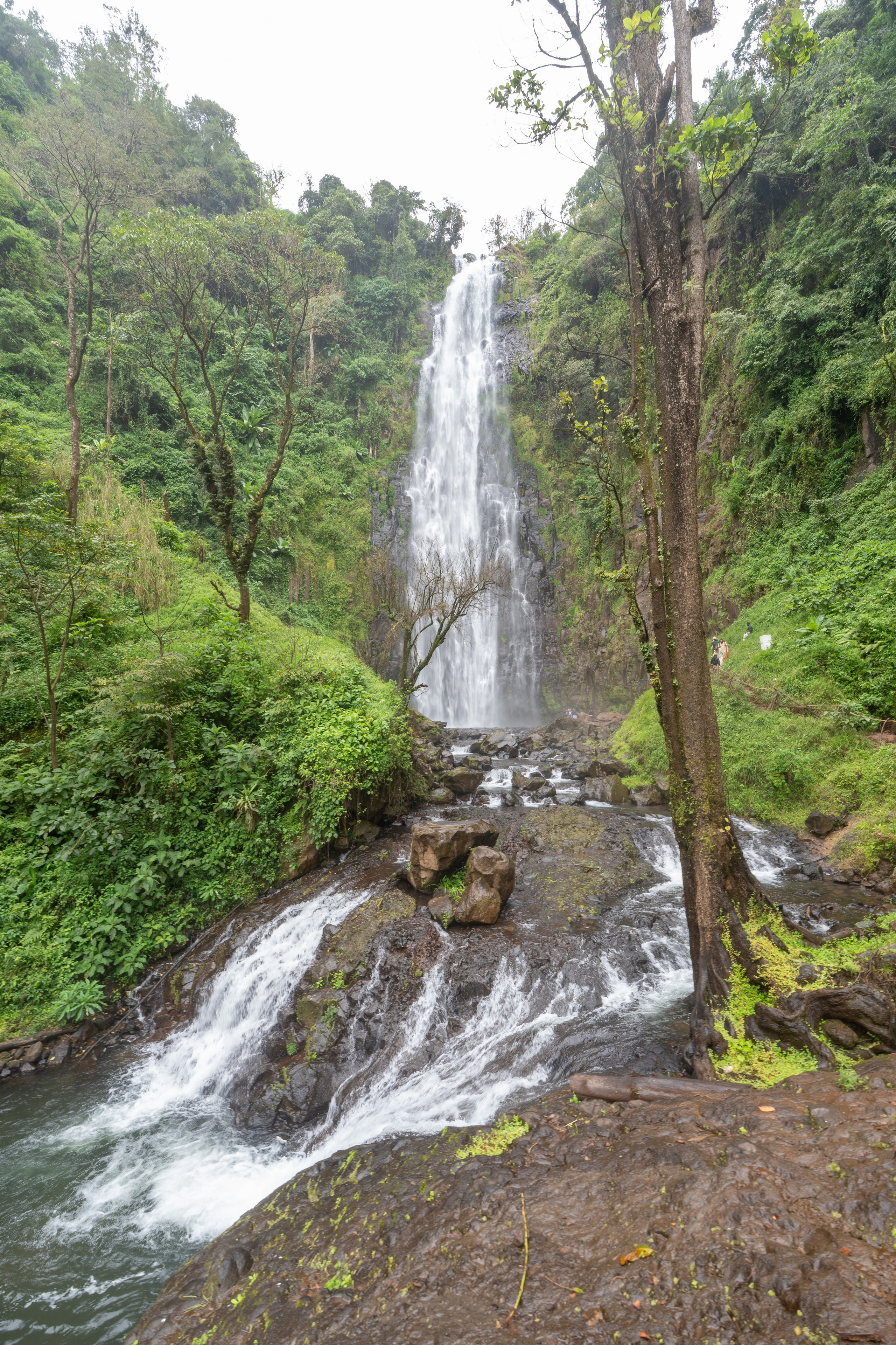 Танзания, сафари, 2025. Творческие сьемки