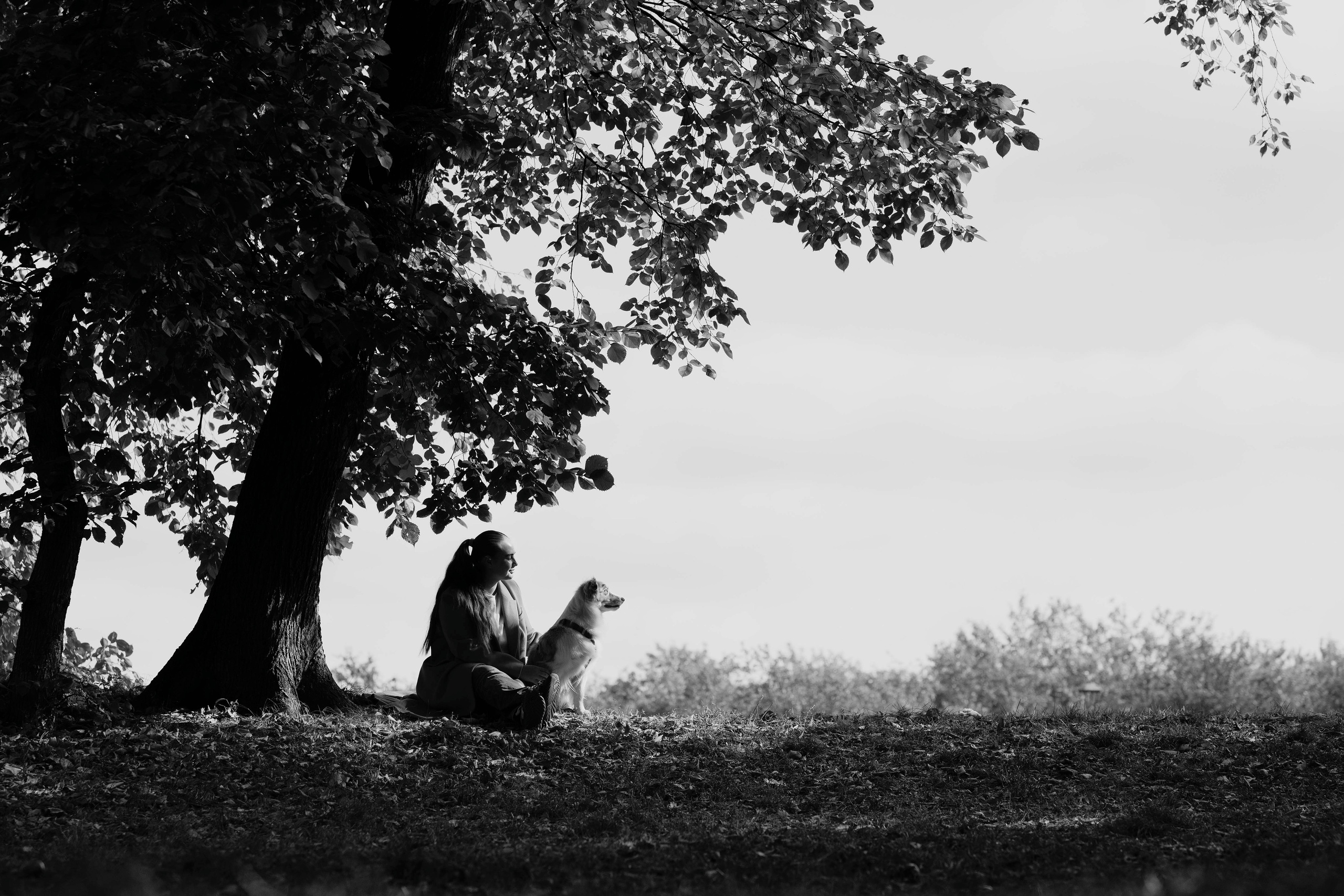 Дженни. Фотограф- анималист Александра Матвеева