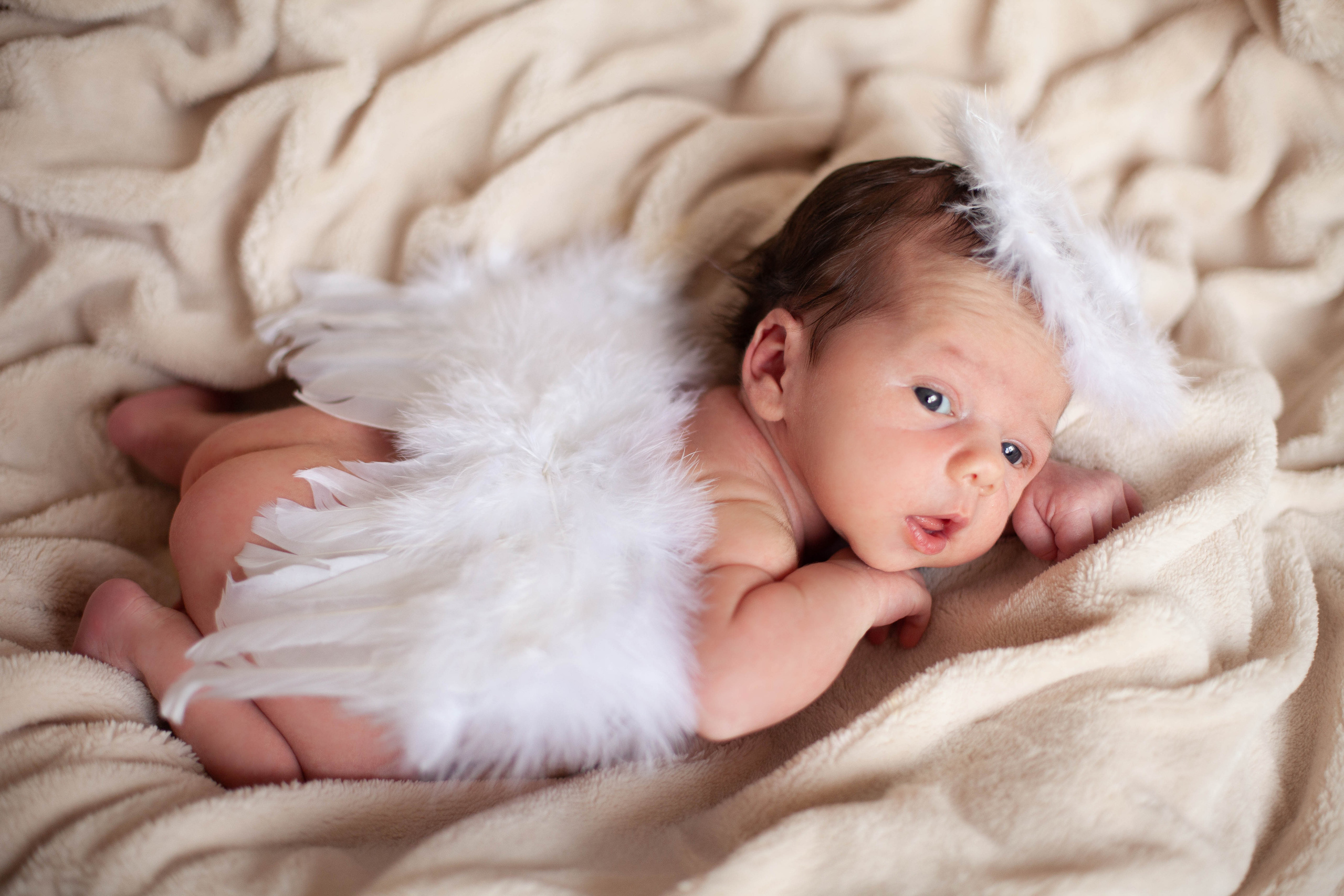 Newborn. Фотосъемка новорожденных. Семейный, школьный фотограф в Нижнем Новгороде Елена Сентюрева