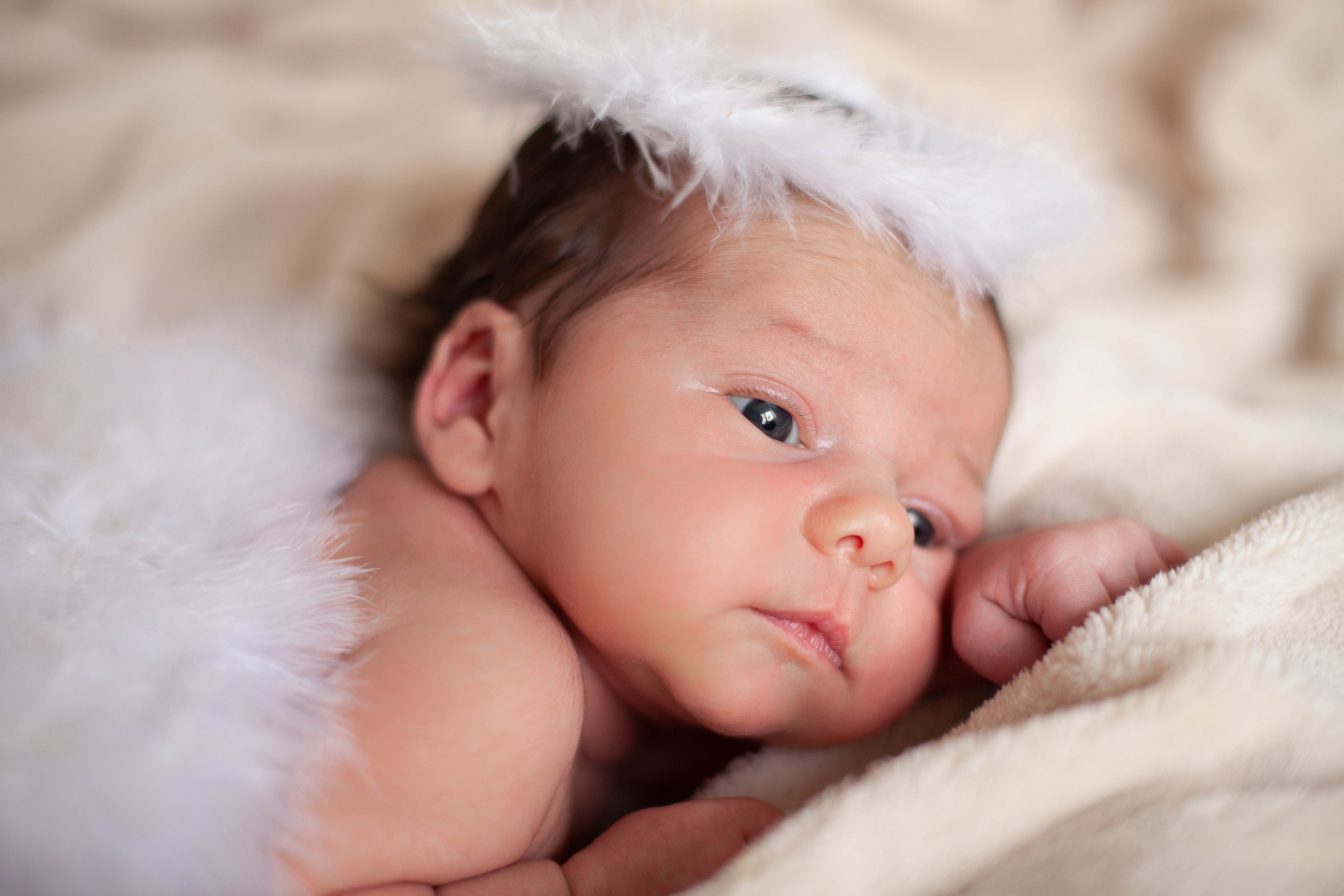 Newborn. Фотосъемка новорожденных. Семейный, школьный фотограф в Нижнем Новгороде Елена Сентюрева