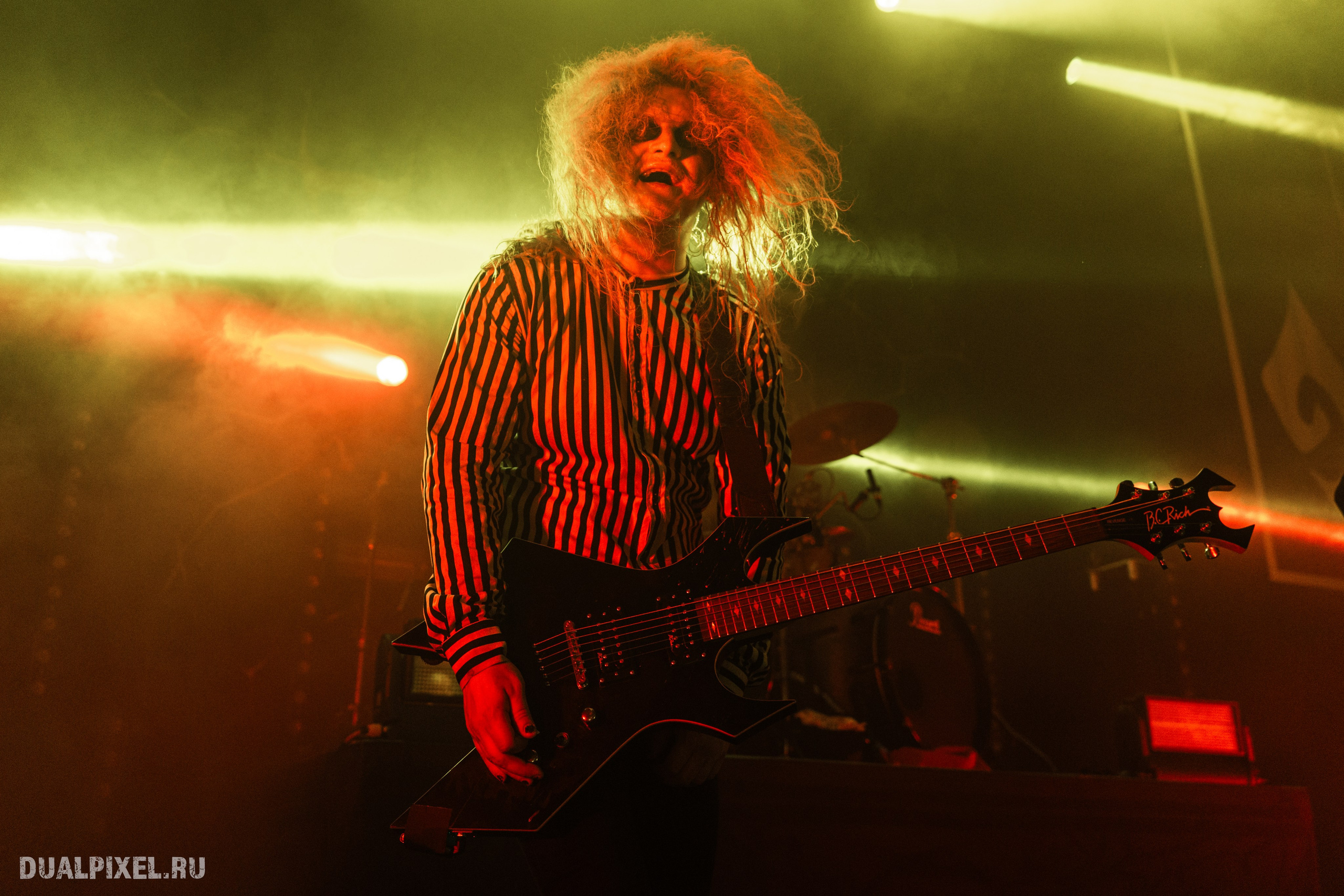 TARDIGRADE INFERNO. Магия музыки в кадре: Концертная Фотография