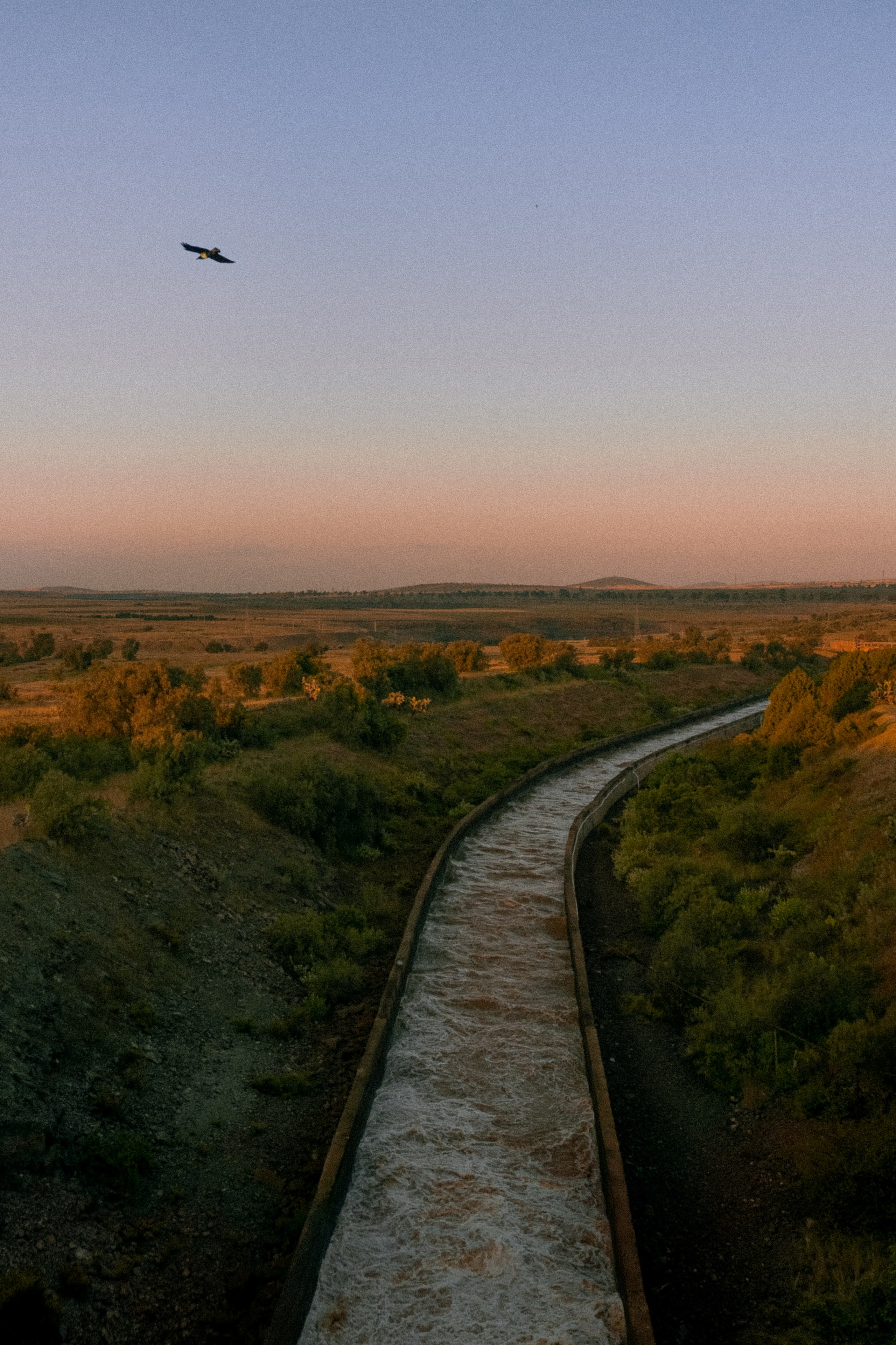 Плато жизни: Эфиопское нагорье. Юля Дэй • Фотограф, Санкт-Петербург