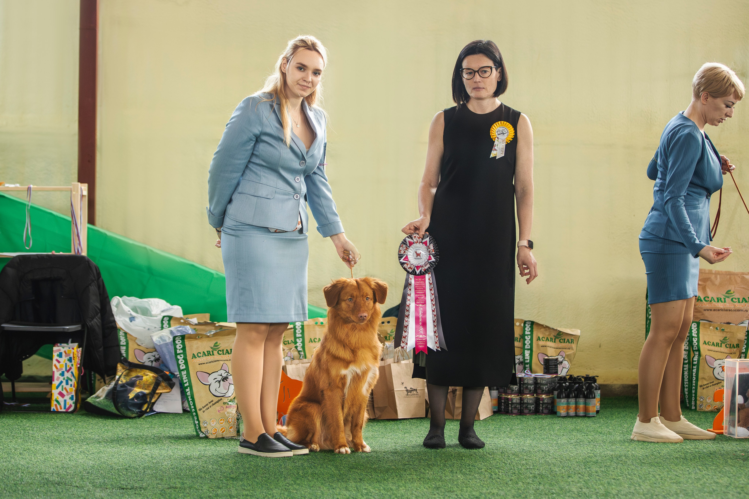 Толлер Орландо (Выставка). Фотограф анималист в Москве Майорова Евгения