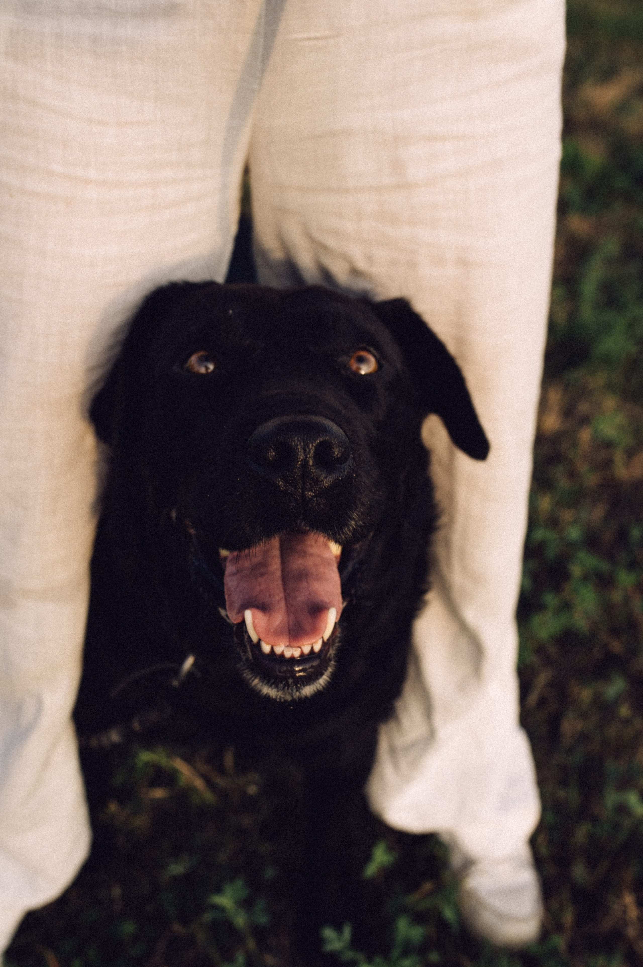 Злата и её верный друг Сэм🐶. Лайфстайл фотограф в Москве Серебрянская Фаина