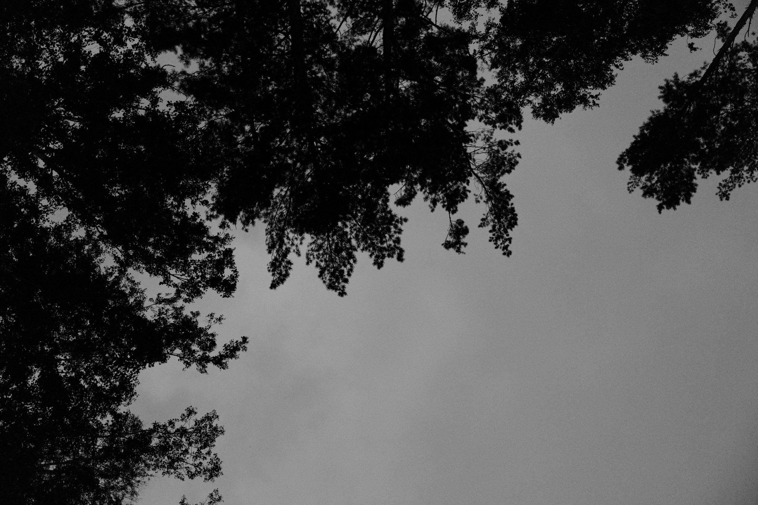 Татьяна & Дмитрий. Yura Rush Свадебный фотограф Тюмень