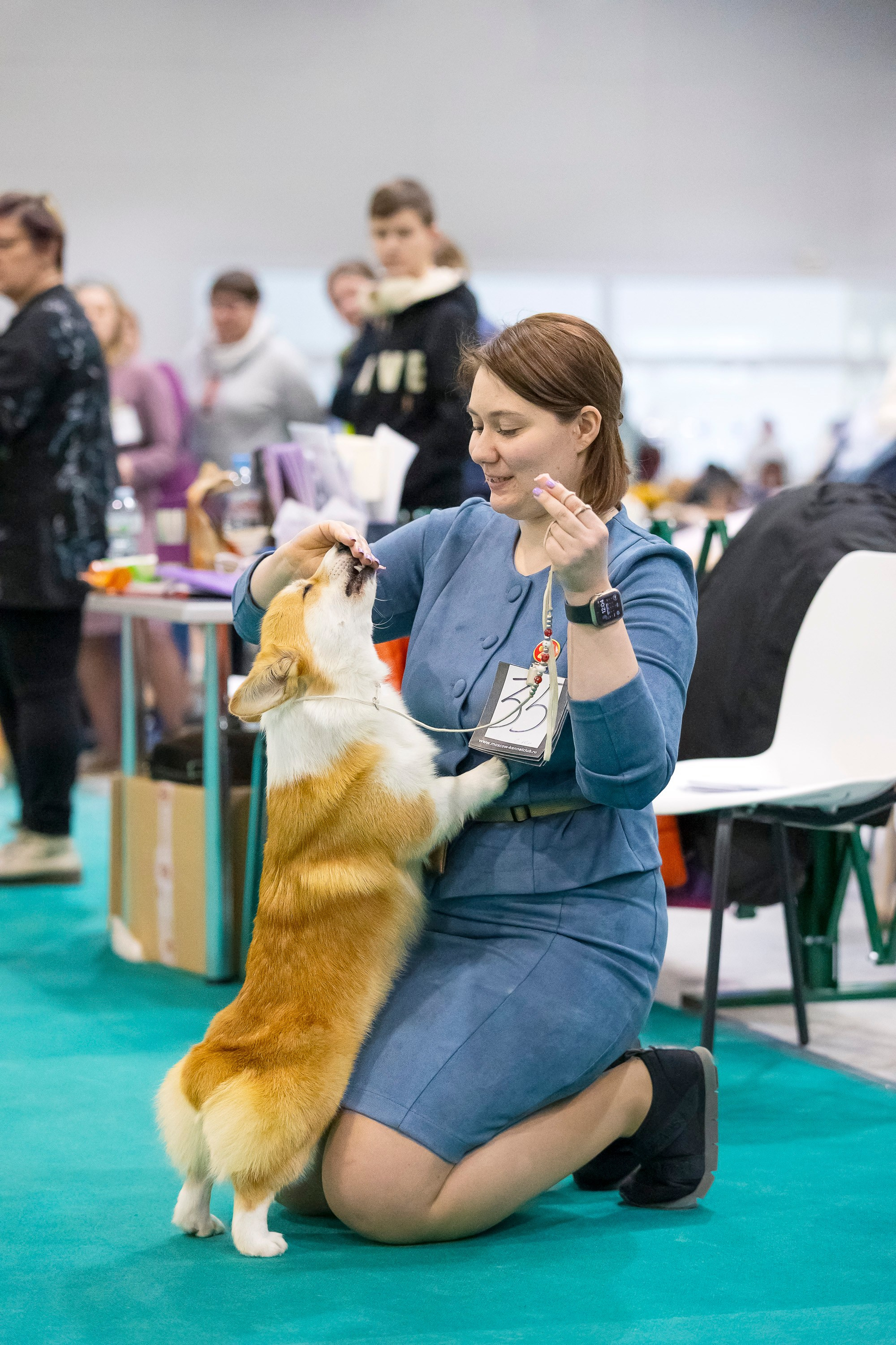 Крокус 10.02. Фотограф анималист, семейный фотограф, фотограф собак Комратова Мария. г. Москва