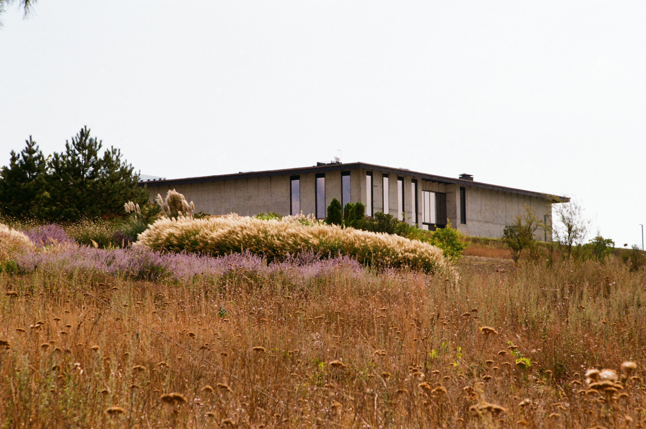 Gai-Kodzor Winery Landscape. Ekaterina Symidi. Interior Photographer