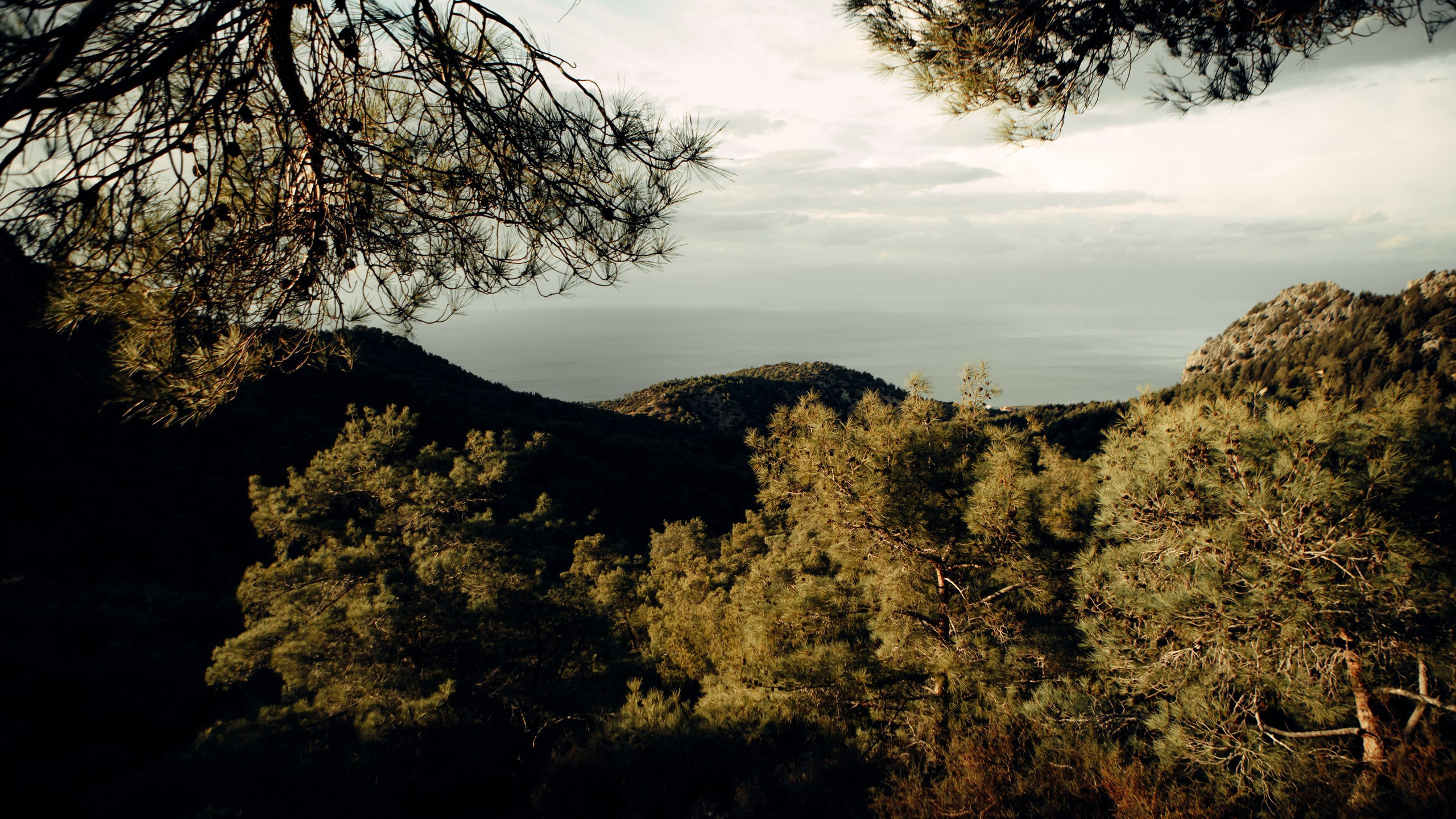 Birthday. Фотограф в Батуми Павел Шарников