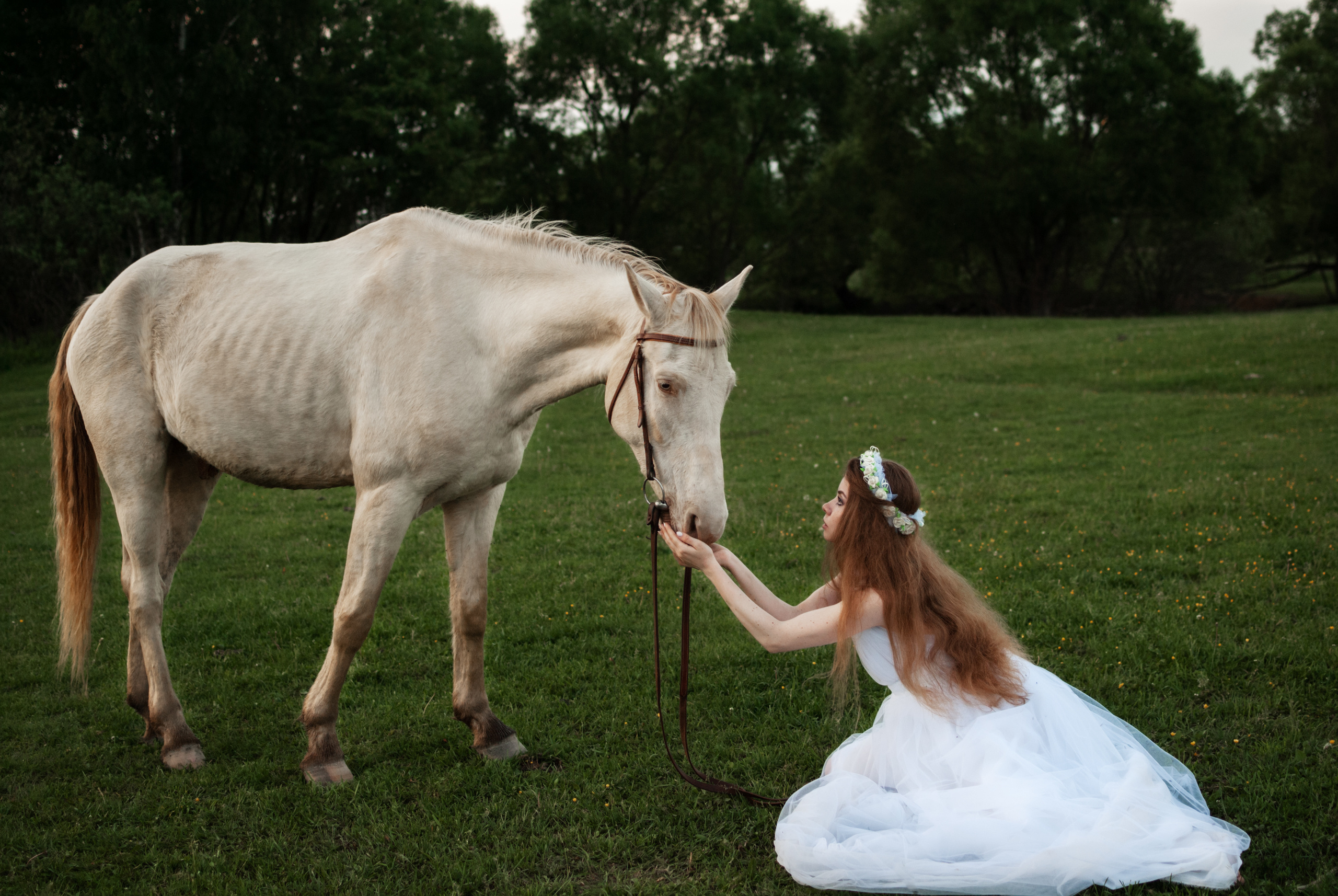 Фотосессии с животными. Annet фотограф в Москве