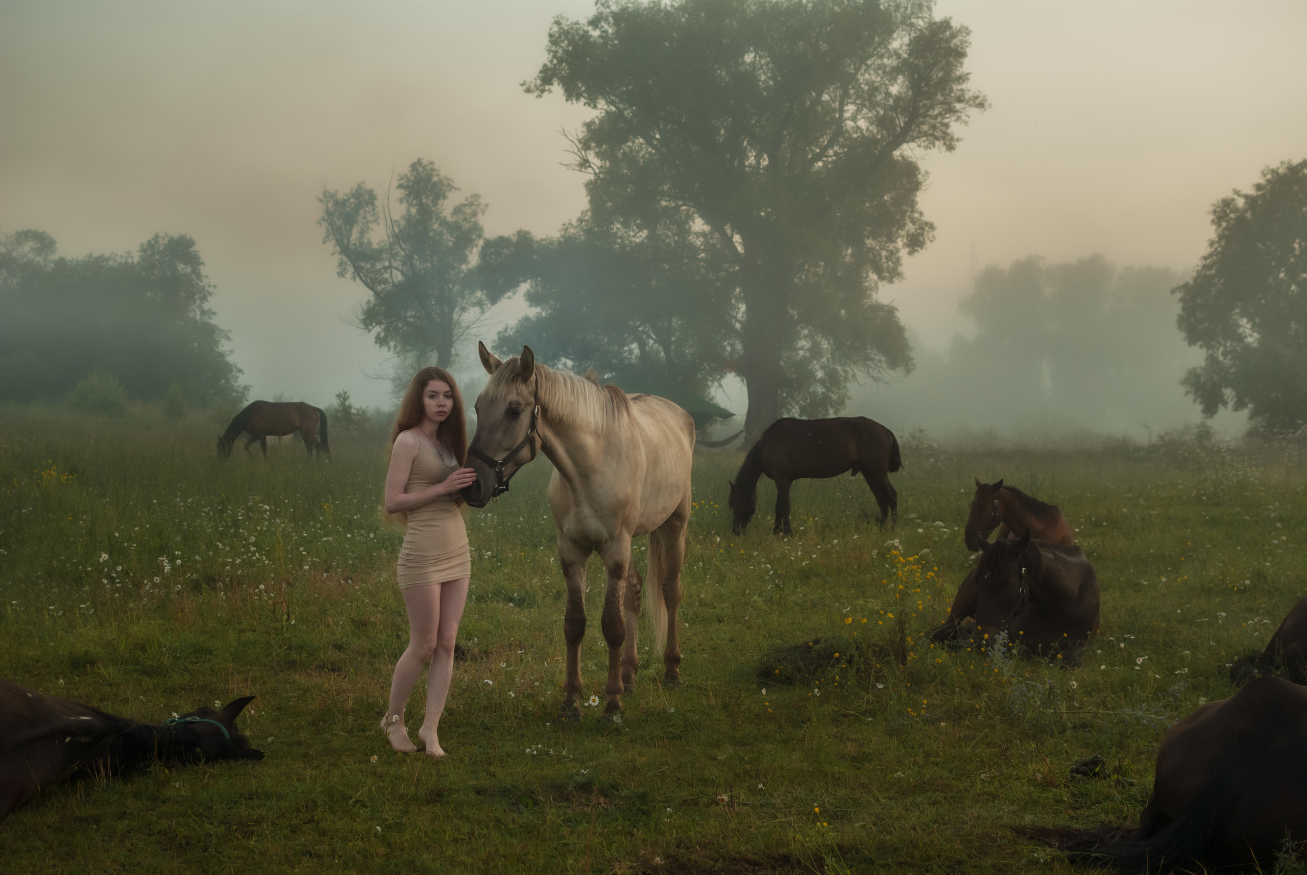 Фотосессии с животными. Annet фотограф в Москве