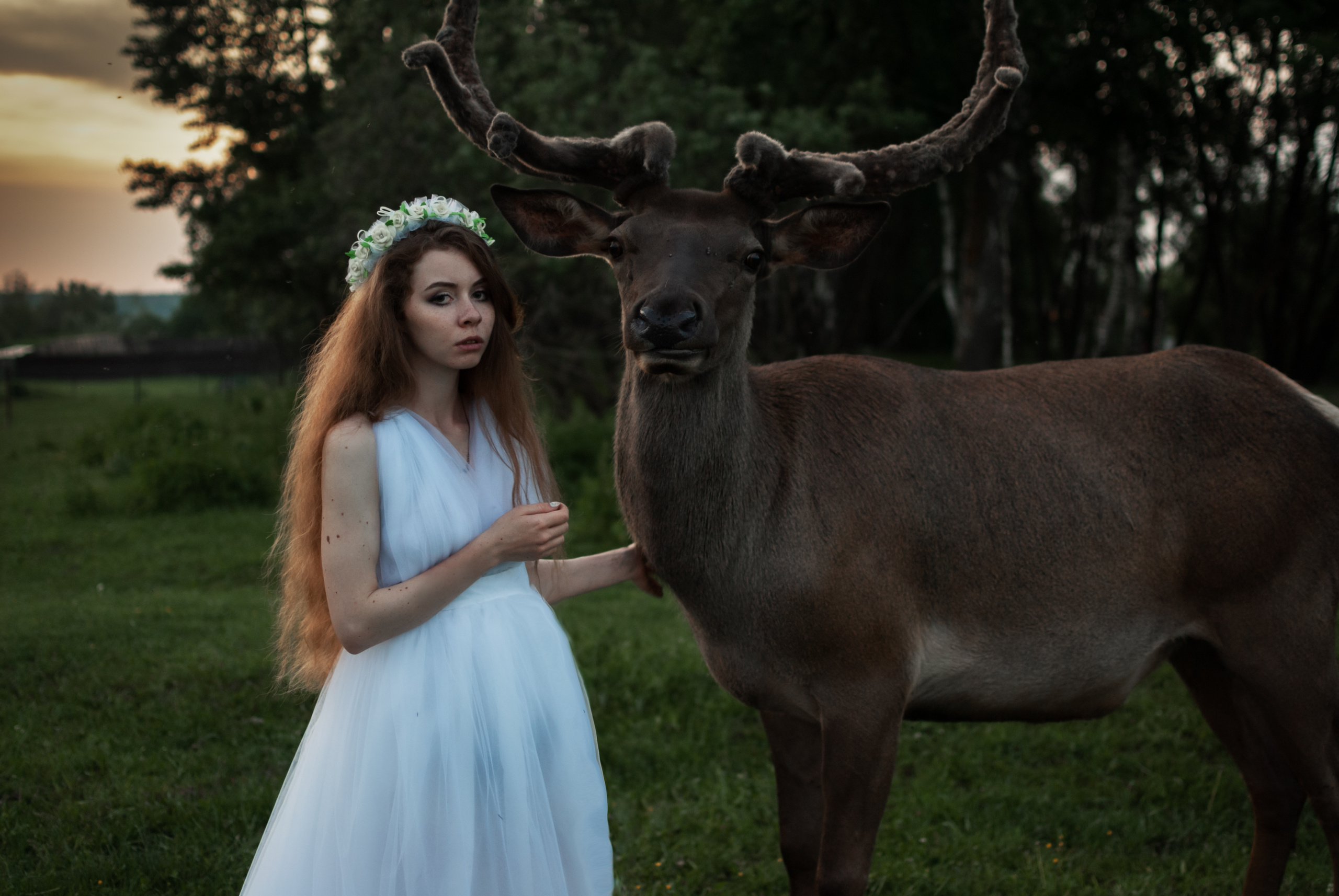 Фотосессии с животными. Annet фотограф в Москве