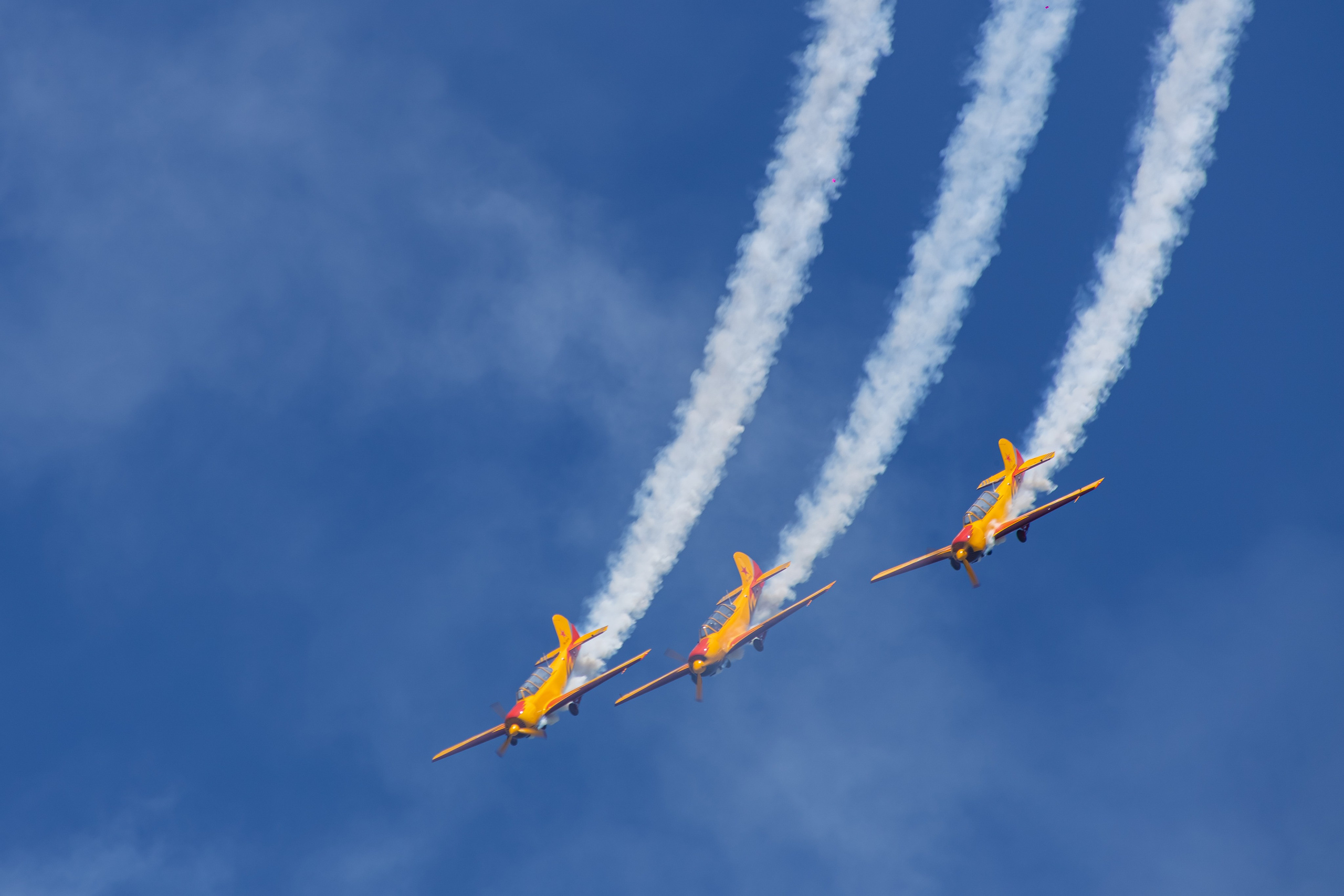 Крылья Пармы 2025 г. KATERINA VINOKUROVA ФОТОГРАФ ПЕРМЬ