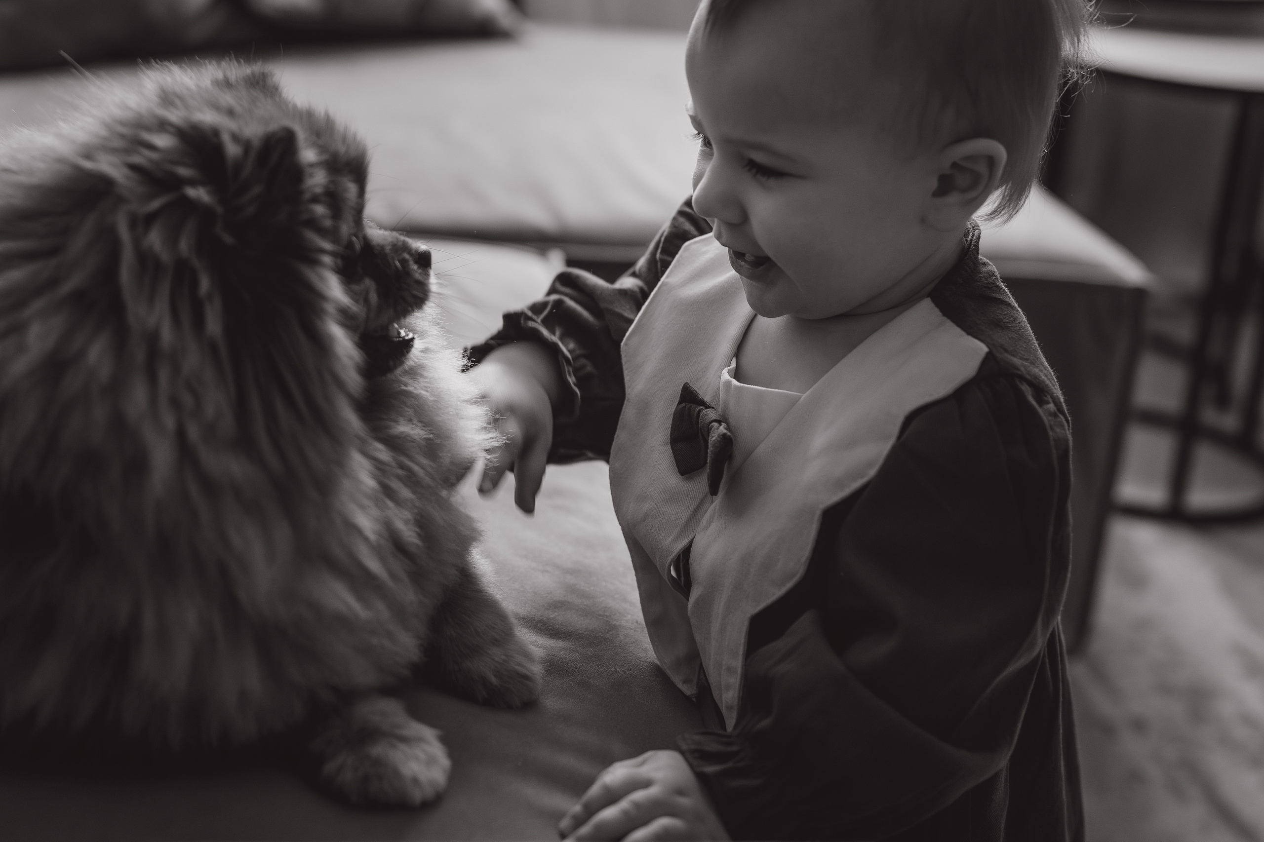 Первый день рождения. Семейный фотограф Москва. Фотограф беременности и материнства Москва
