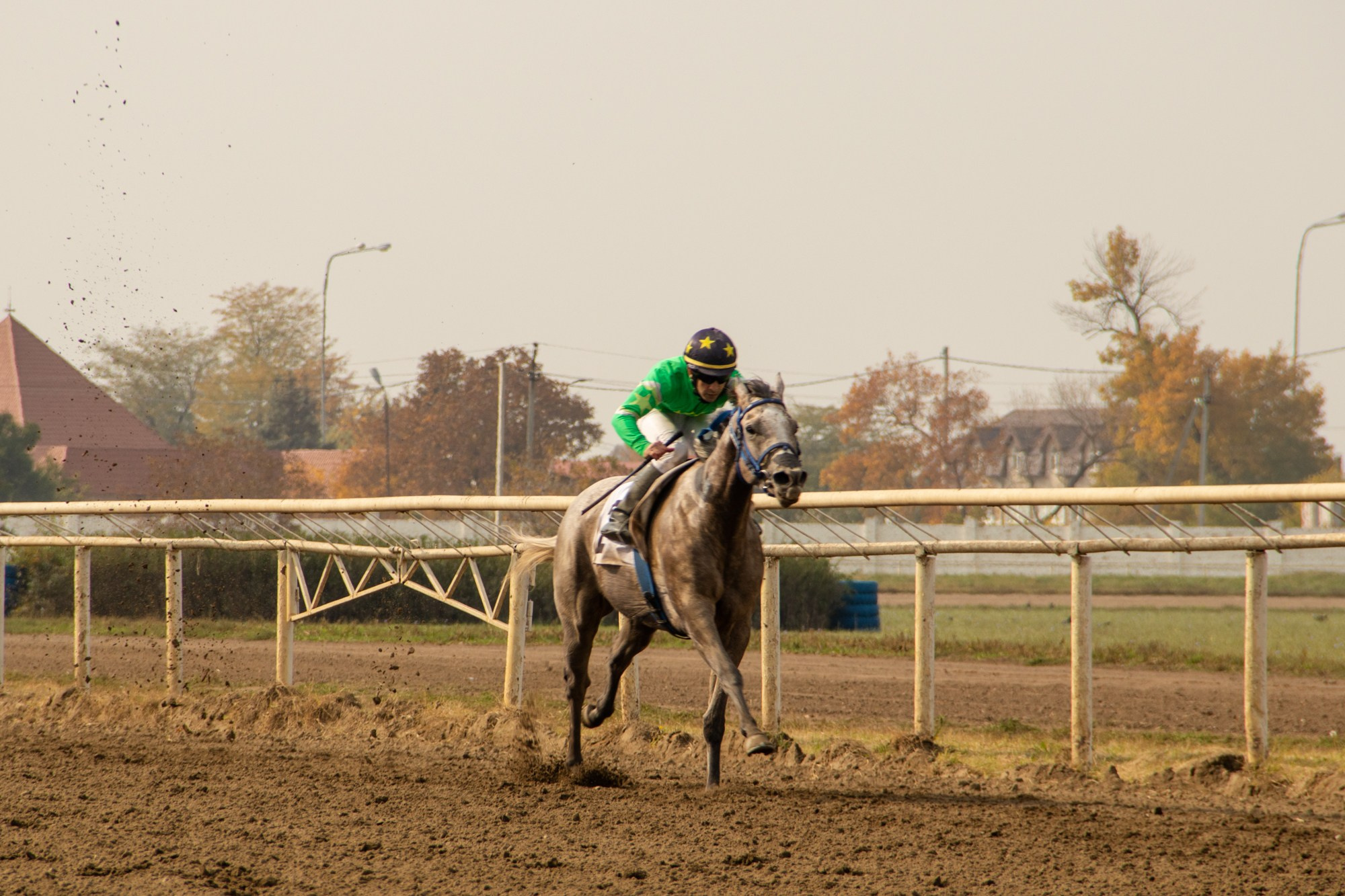Закрытие скакового сезона на Краснодарском ипподроме. Репортажный, промышленный и маркетплейс-фотограф Дмитрий Чернат