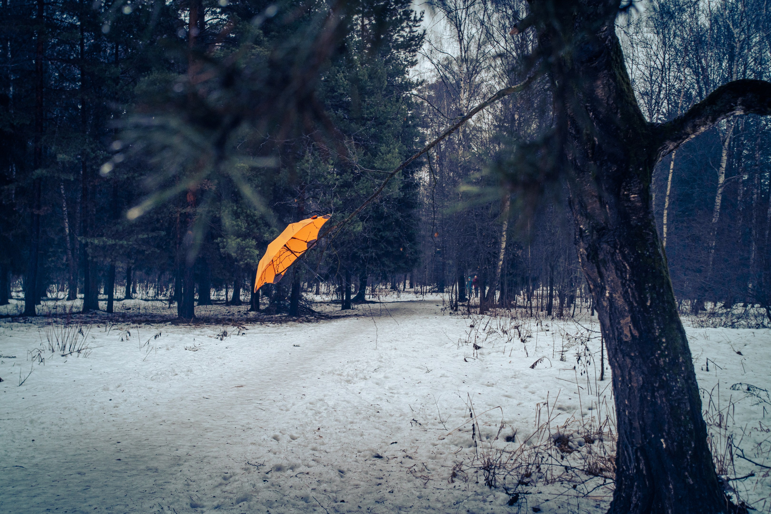 ПЕРЕДЕЛКИНО. ПОБУДЬ ЗДЕСЬ И ЦЕЛЕЕ БУДЕТ ЭТОТ МИР