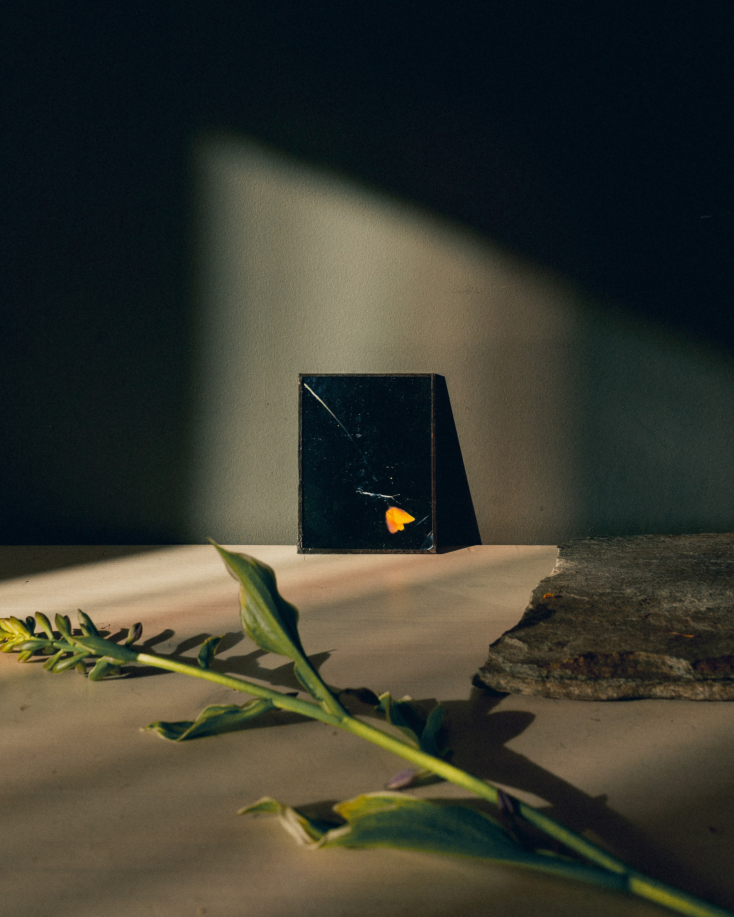 МЕРЧ. Арт-фотограф Даня Карельский