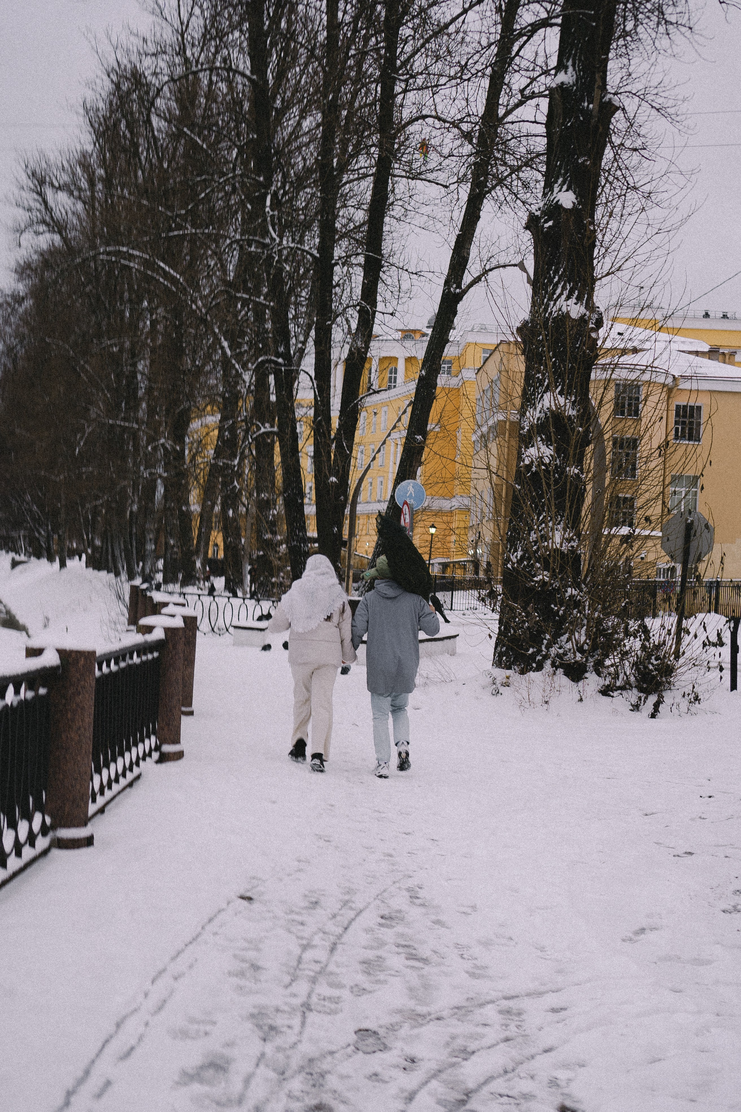 Зимняя история. Профессиональный фотограф, Санкт-Петербург — Виктория Богомолова