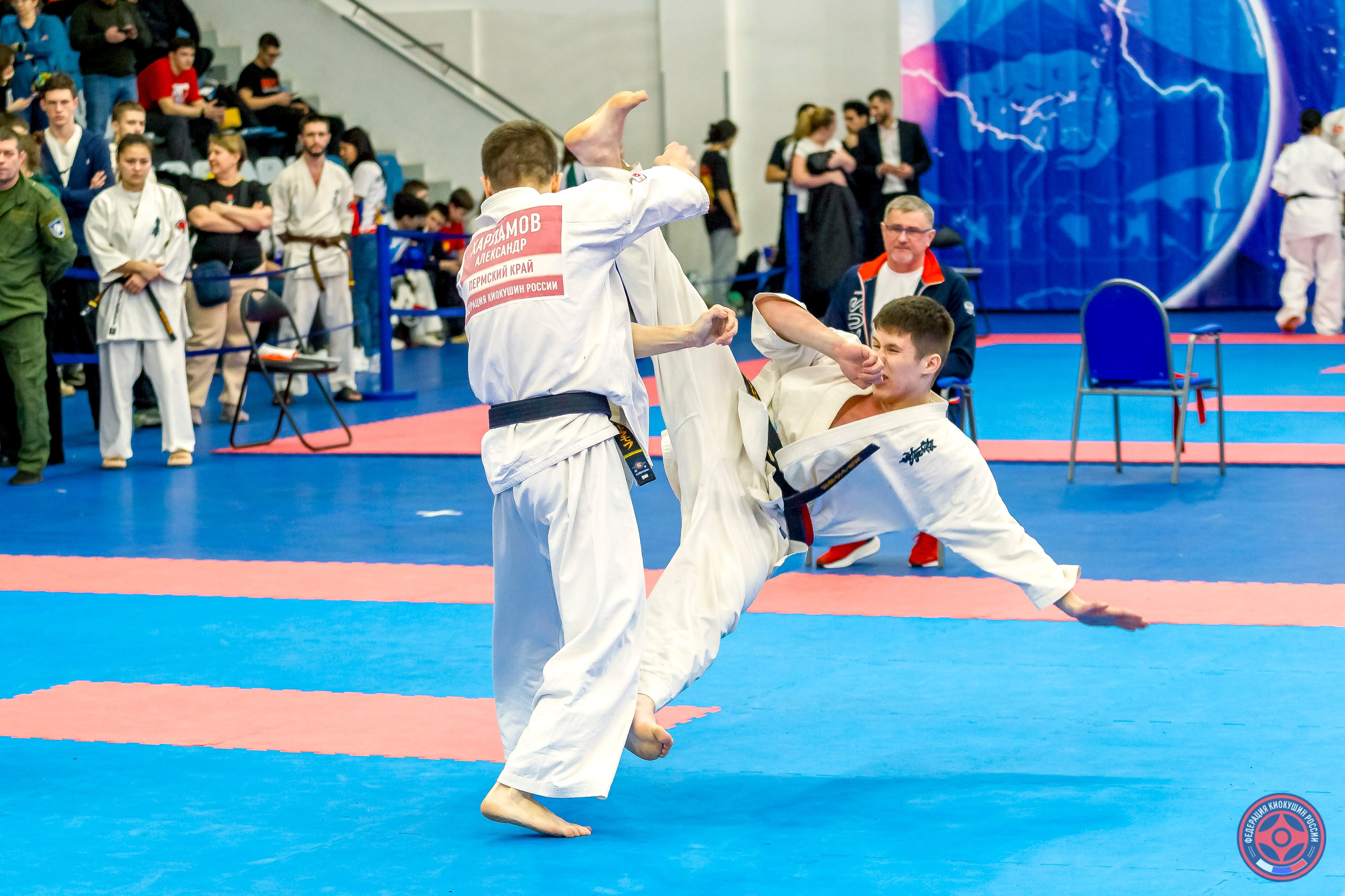 Международный турнир по киокушин «Открытый кубок Seiken». Репортажная съемка в Москве и области. Анималистика