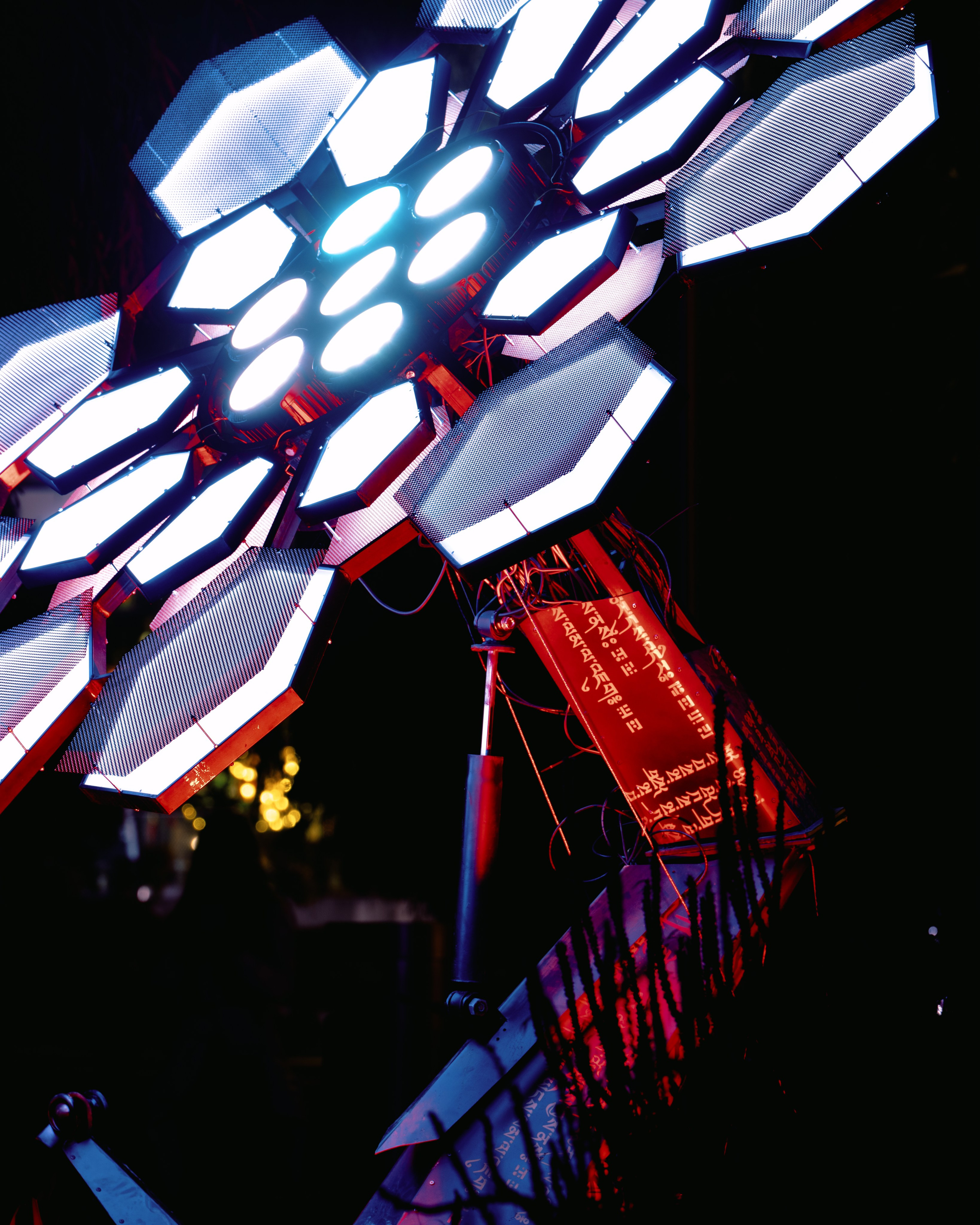 PANTERRA, Cyber Flower. @tomrus: Рустам Шагиморданов — фотограф