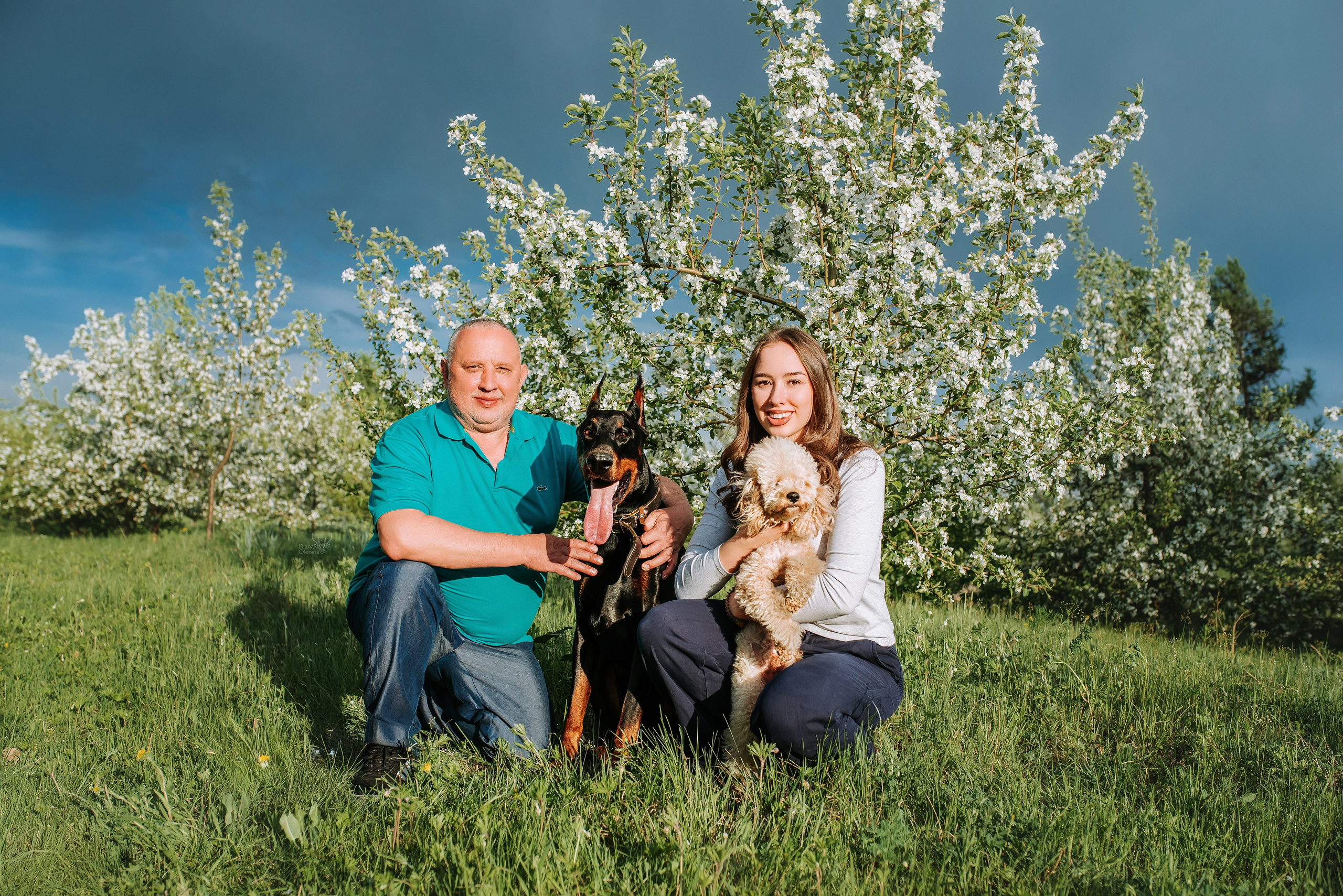 Фотопрогулка с питомцами. Фотограф Диана Оленина Красноярск / Братск