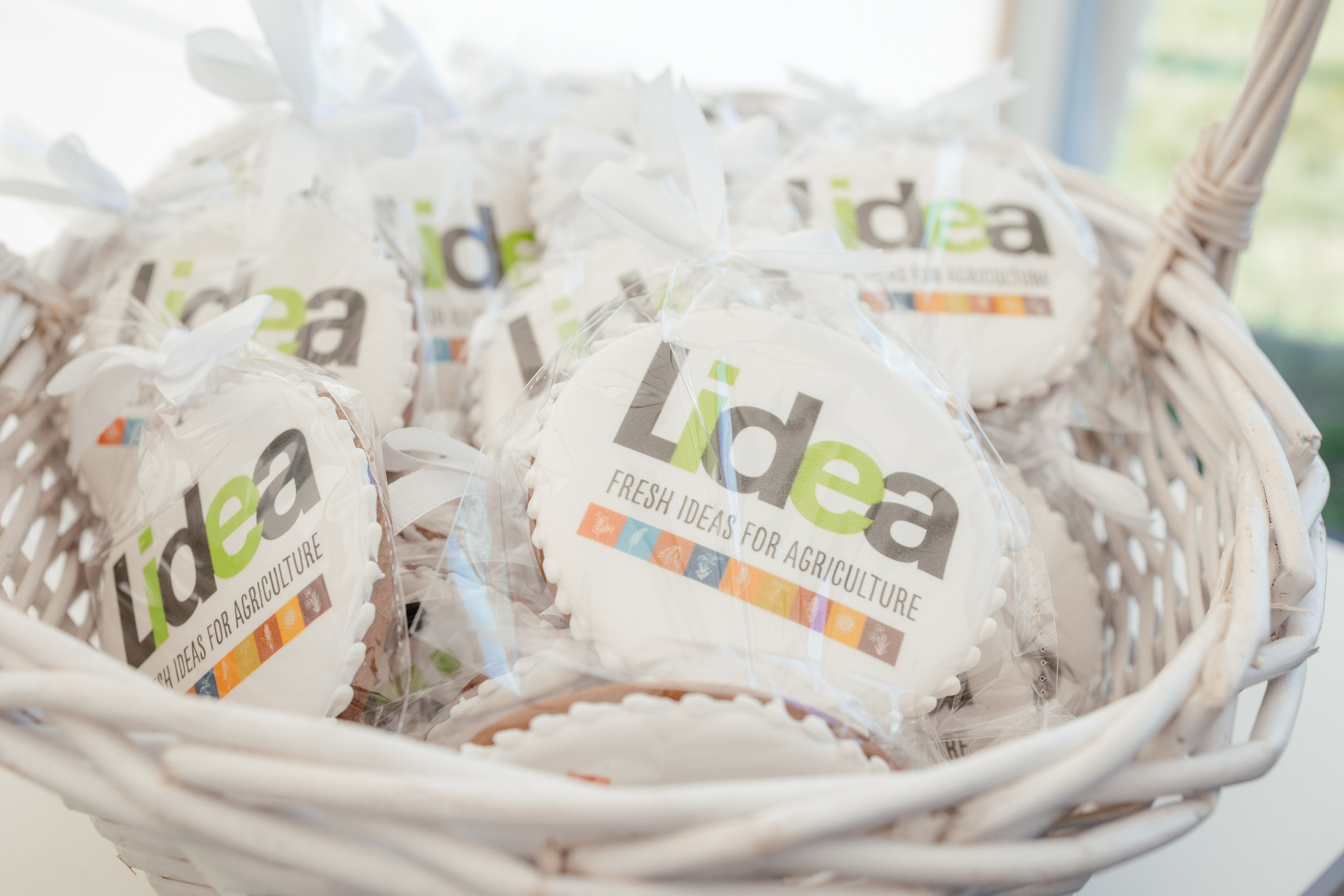 День поля. Фотограф Крохин Олег