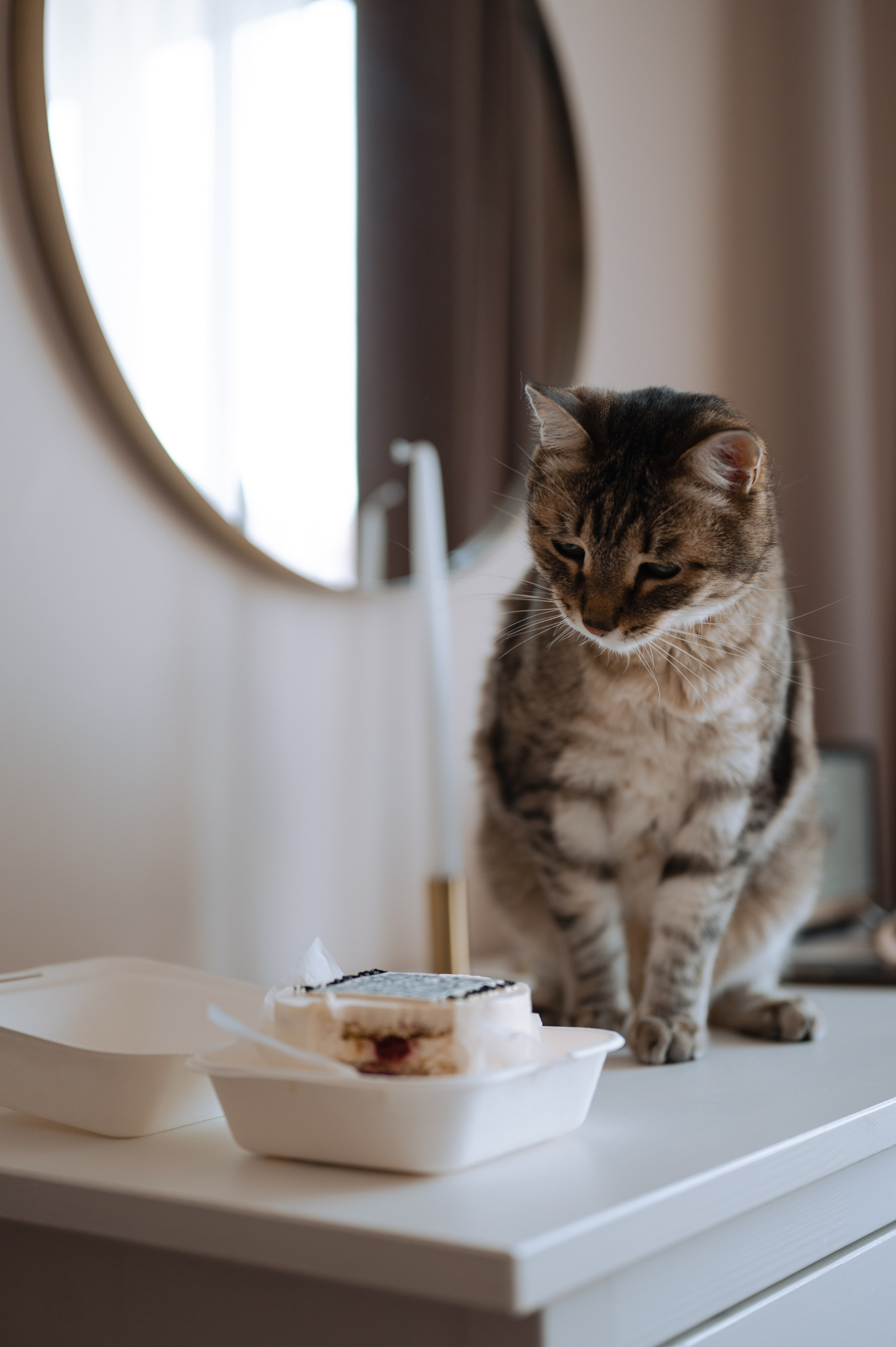 Тамара и кот Тиша. Фотограф Красноярск Екатерина Карпеза