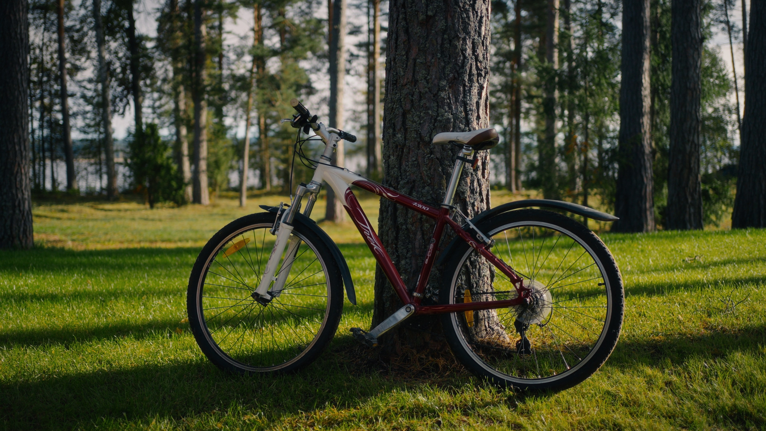 Тихолесье — Ваш дом и уют (promo). Цветокоррекция видео онлайн Иван Сержанов