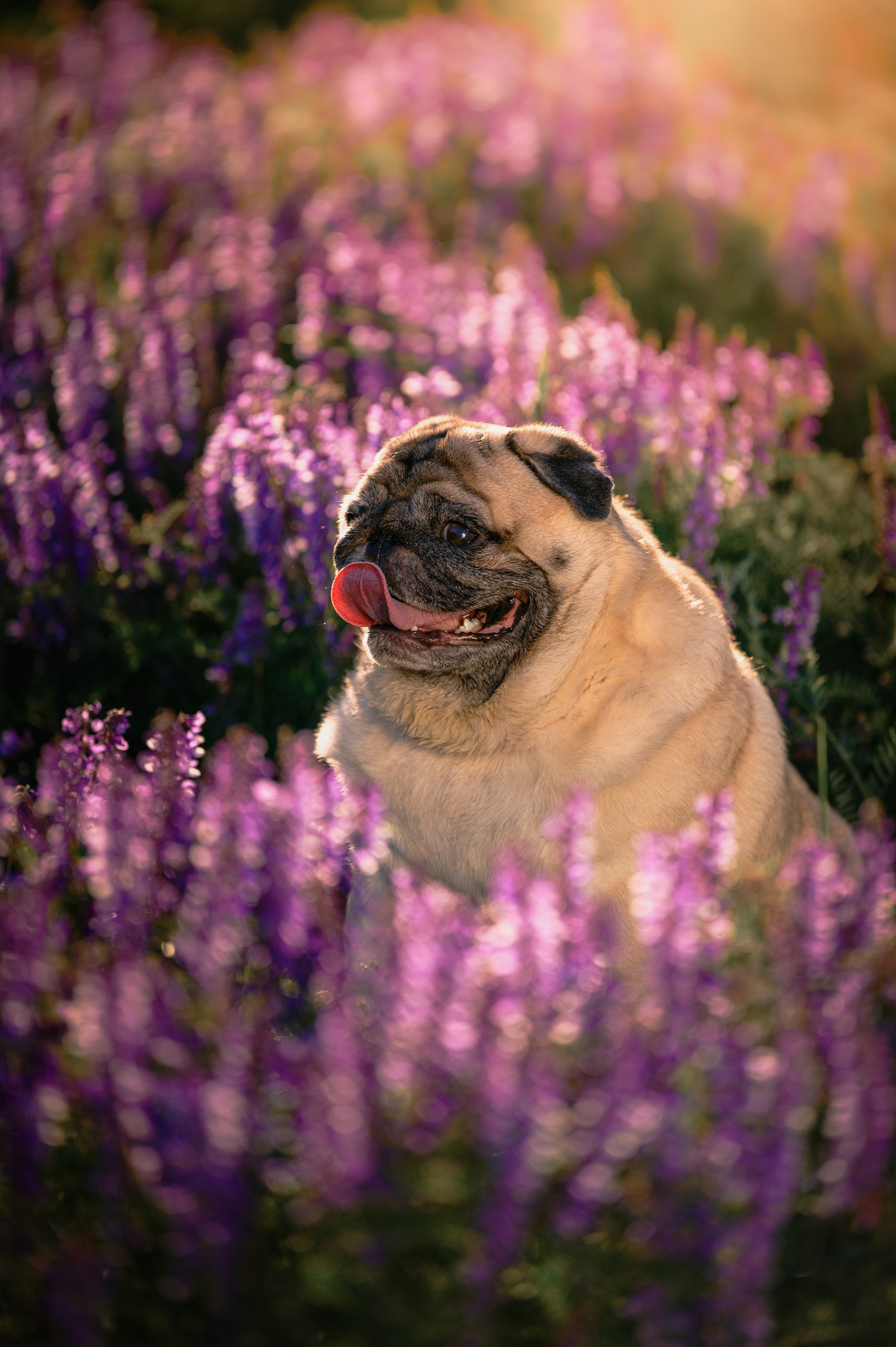 Весенняя прогулка. Фотограф в Ростове —на — Дону
