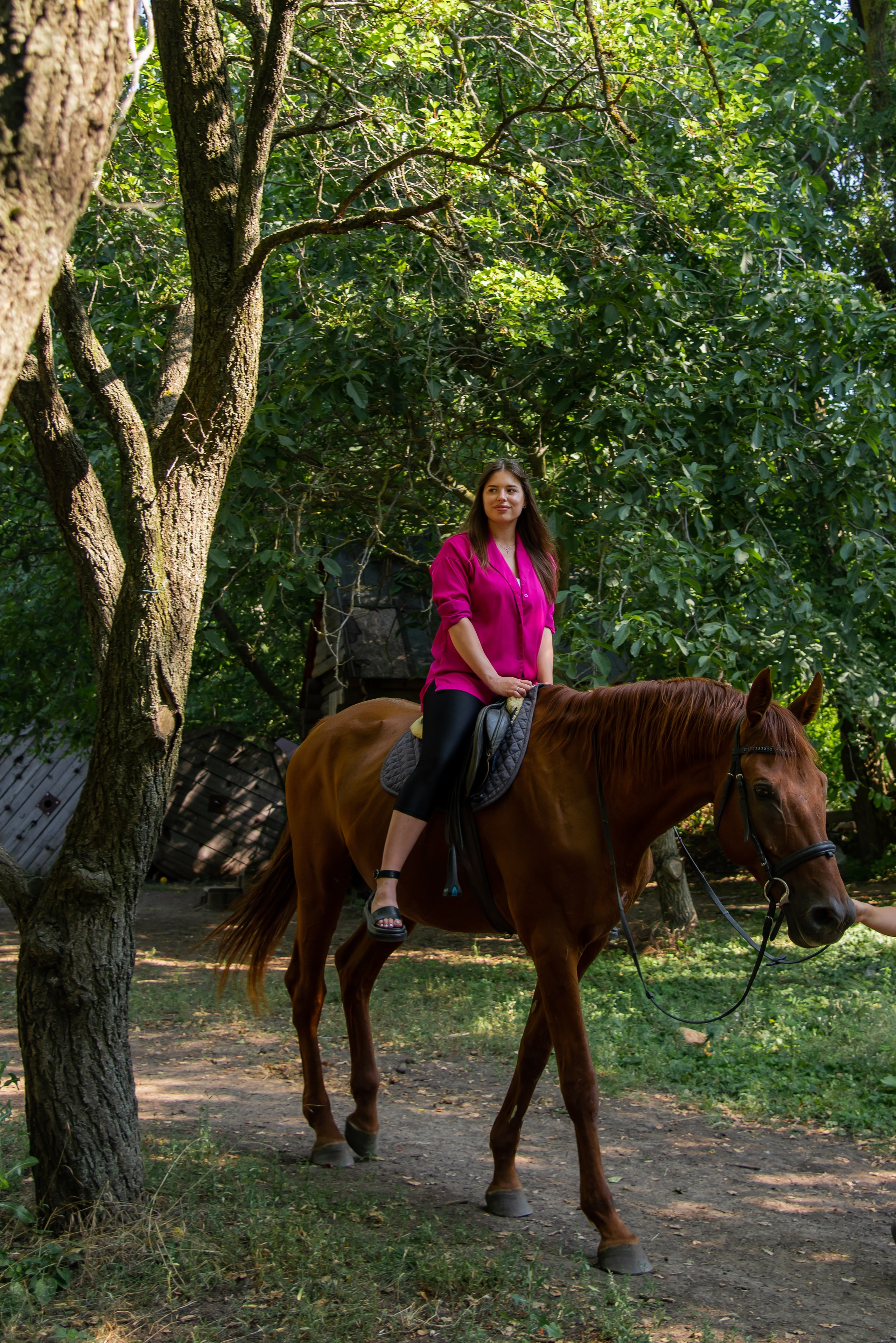 Конная прогулка. Фотограф Галина Нестерова