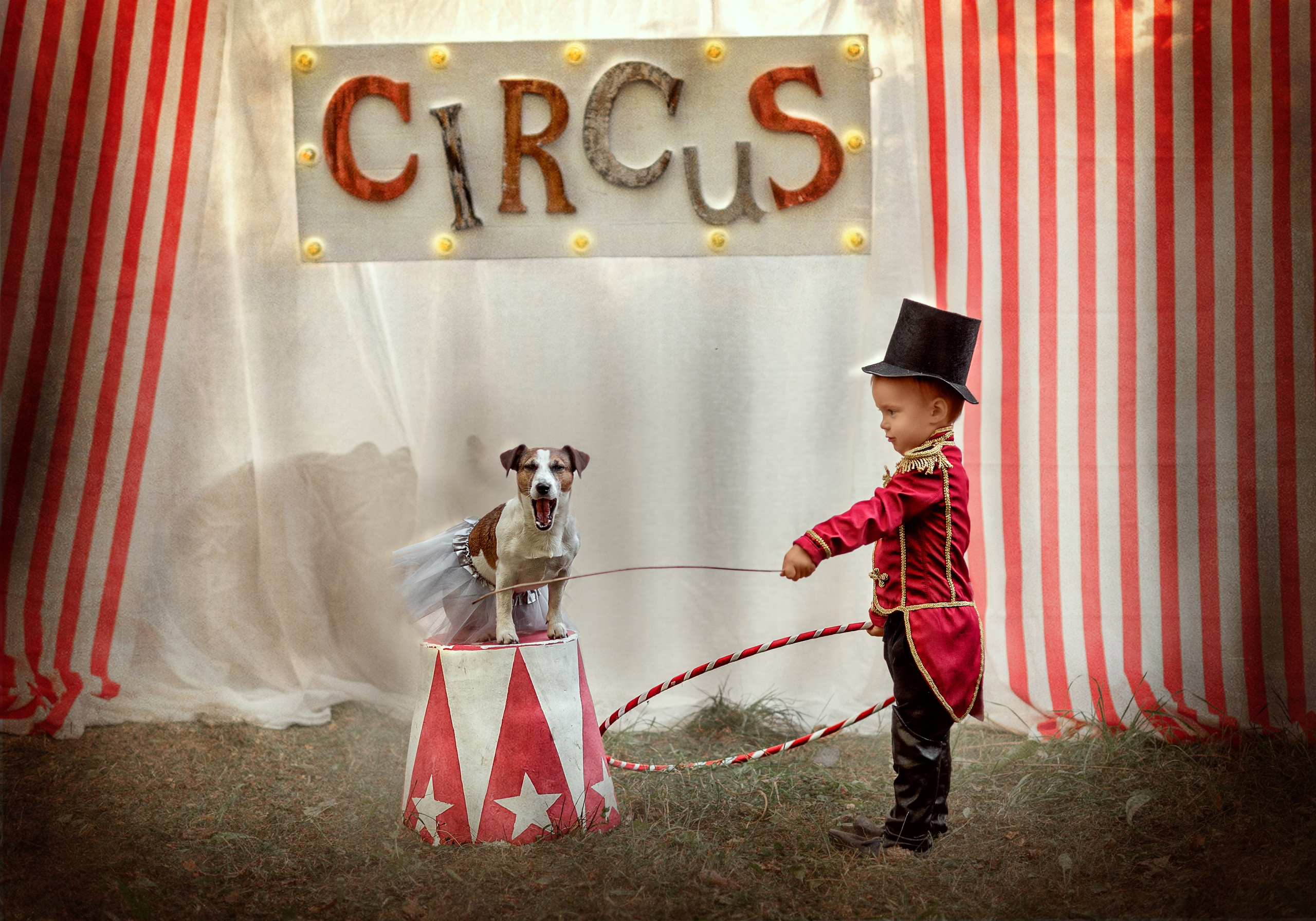 ЦИРК. Семейный фотограф Екатеринбург Лора Мур