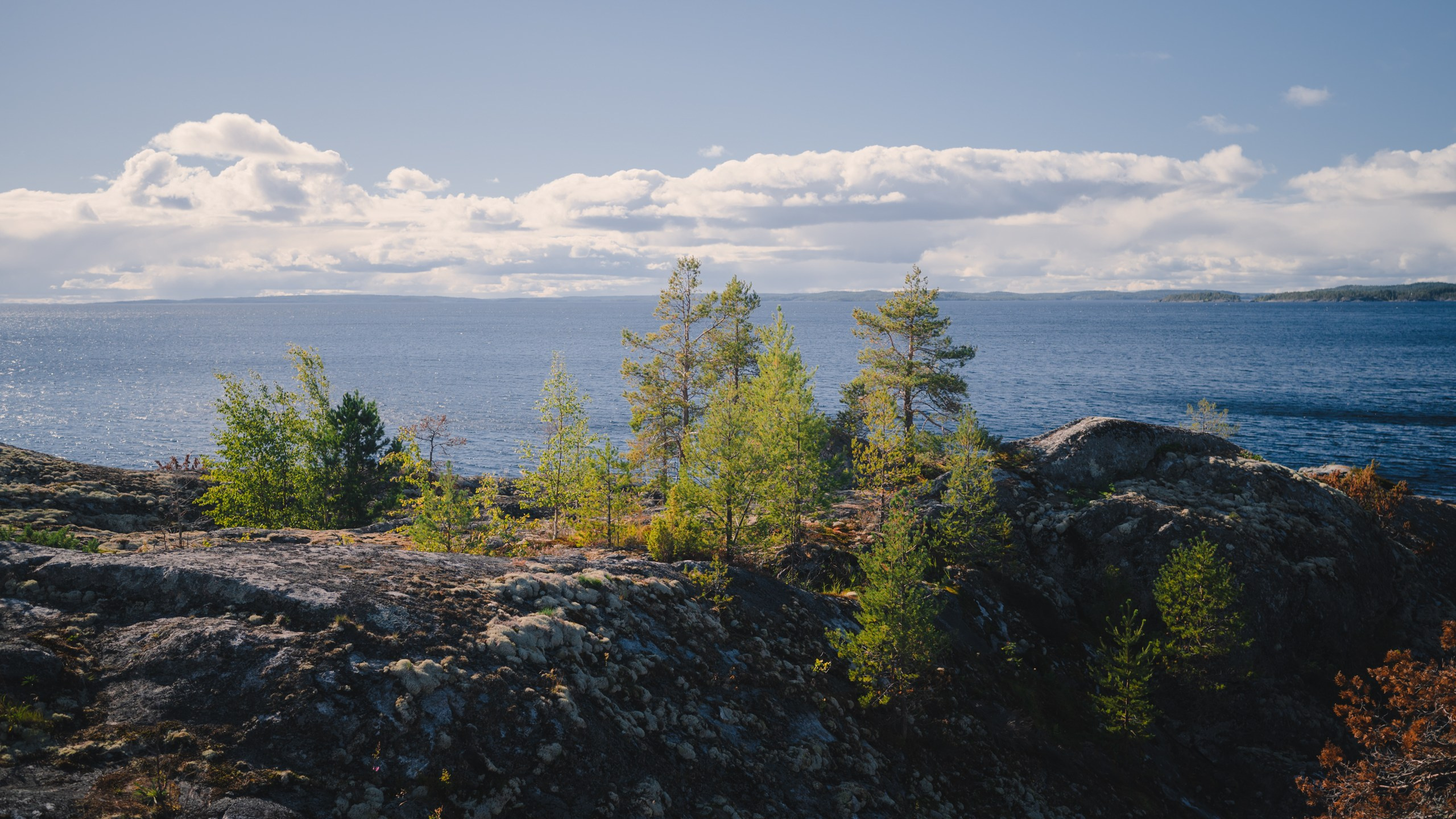 Карелия. Komonev