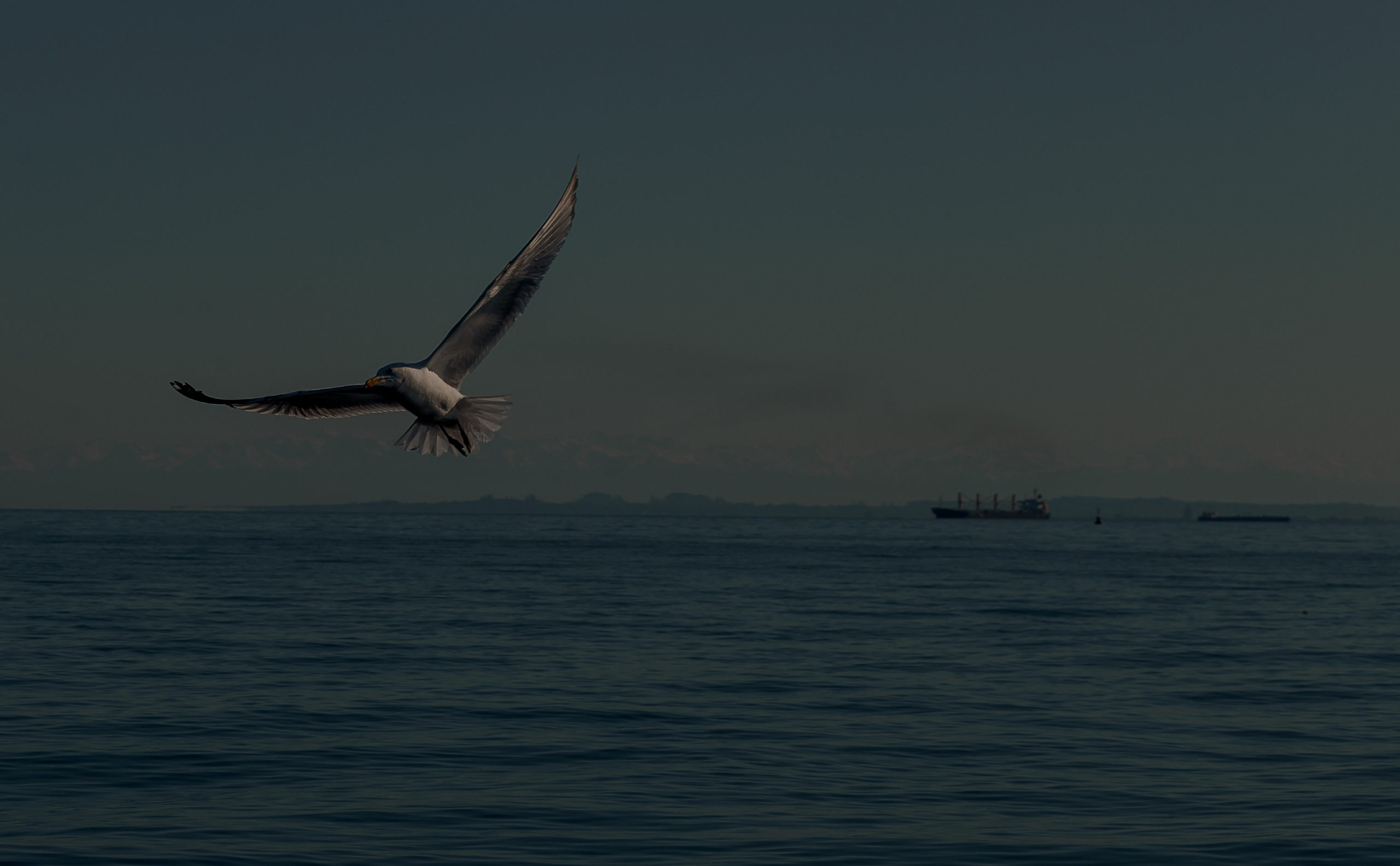 Georgia, Batumi. Art Photographer