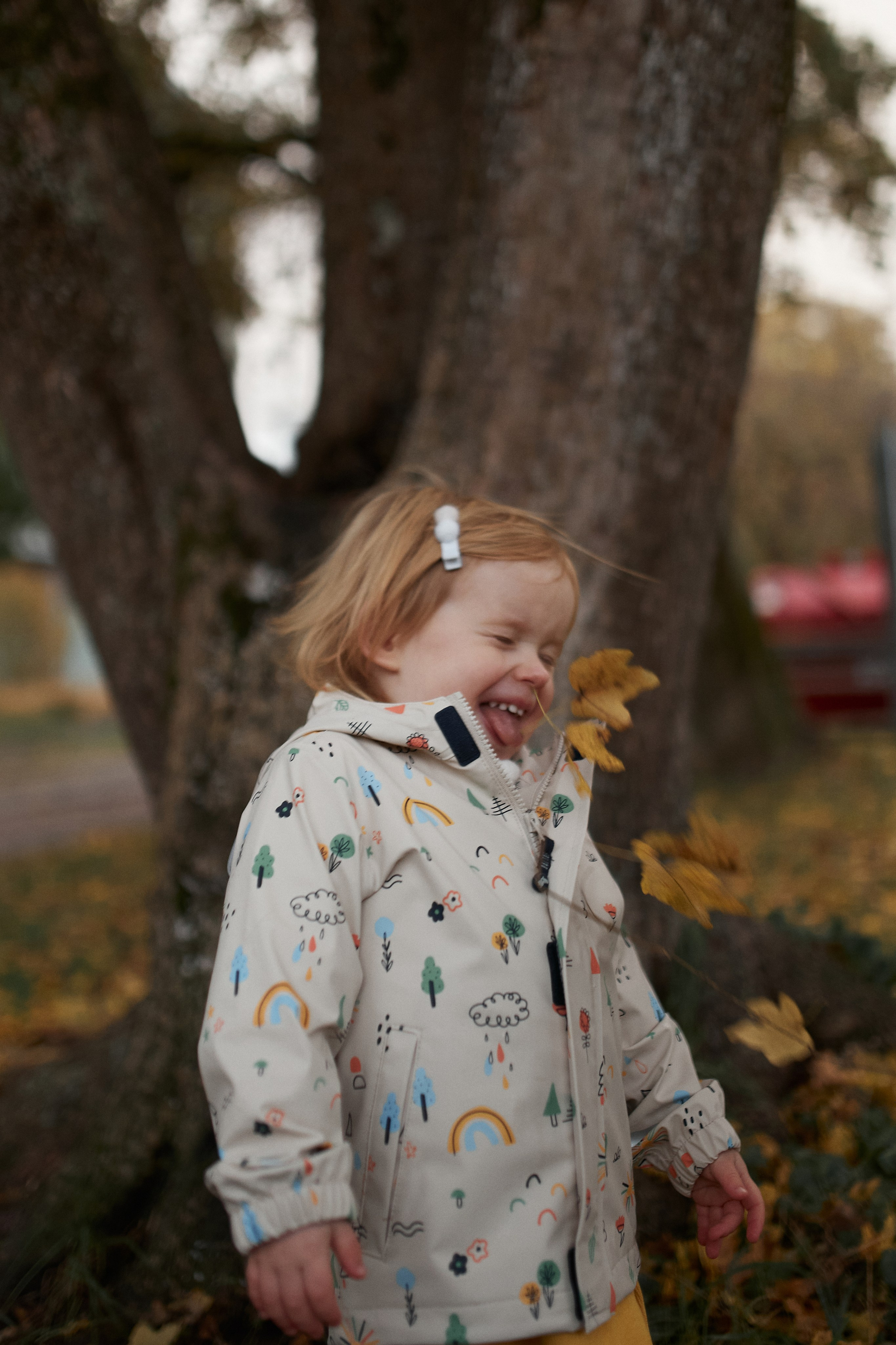 Осень в Цюрихе. Ваш душевный фотограф