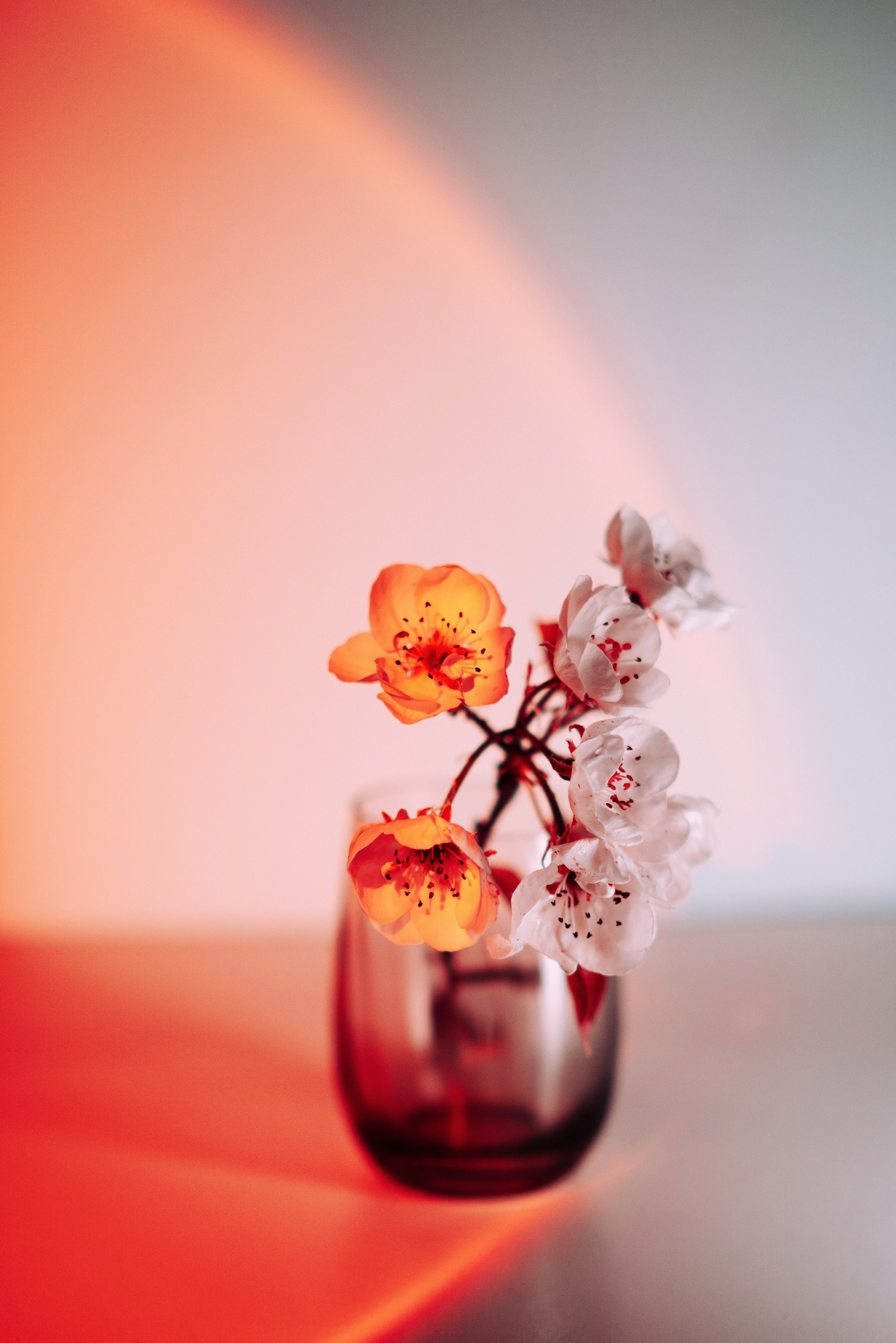 Фотограф в Москве Александр Иванов