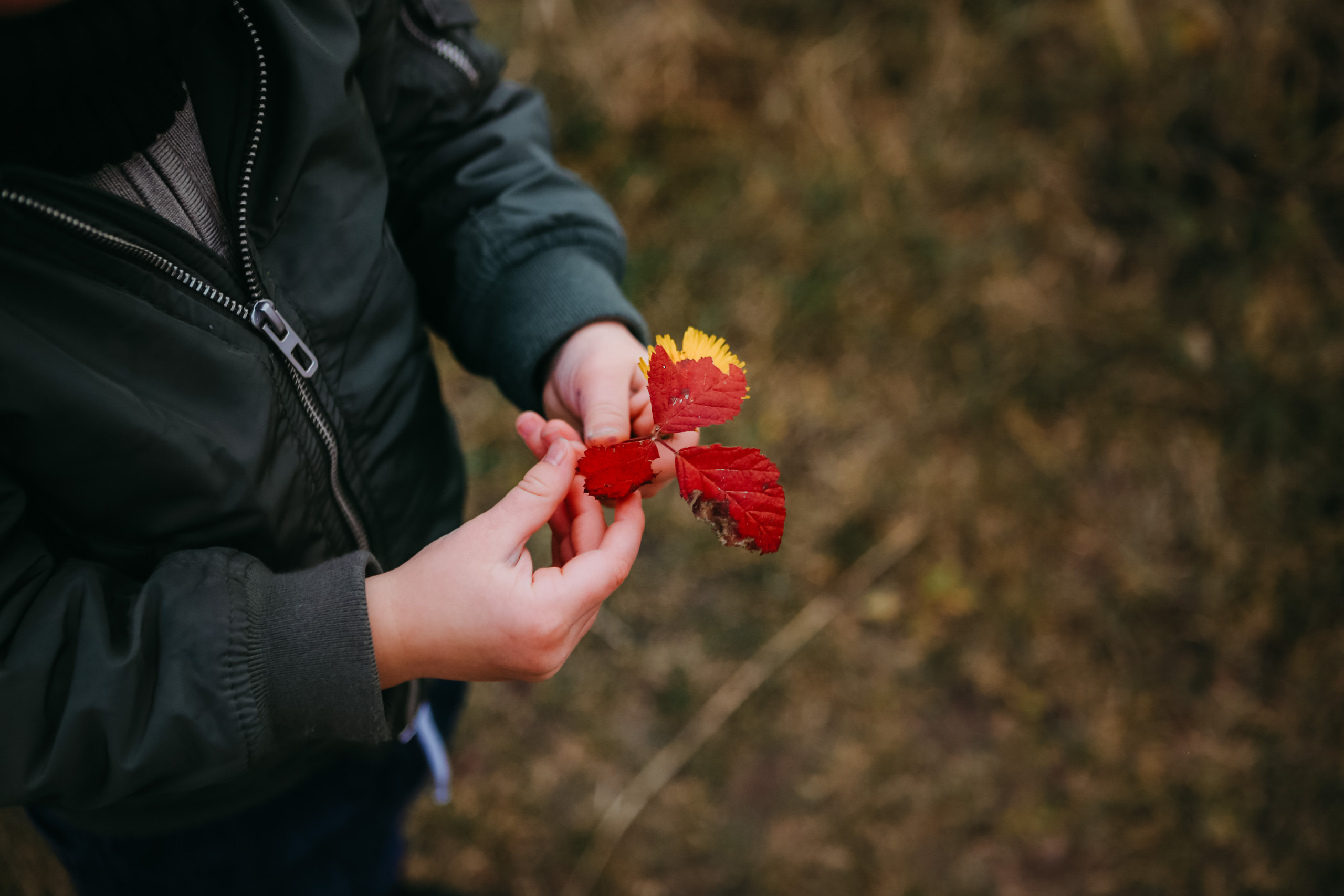 Осенняя прогулка. Фотограф на Новой риге и в Москве Елена Елис