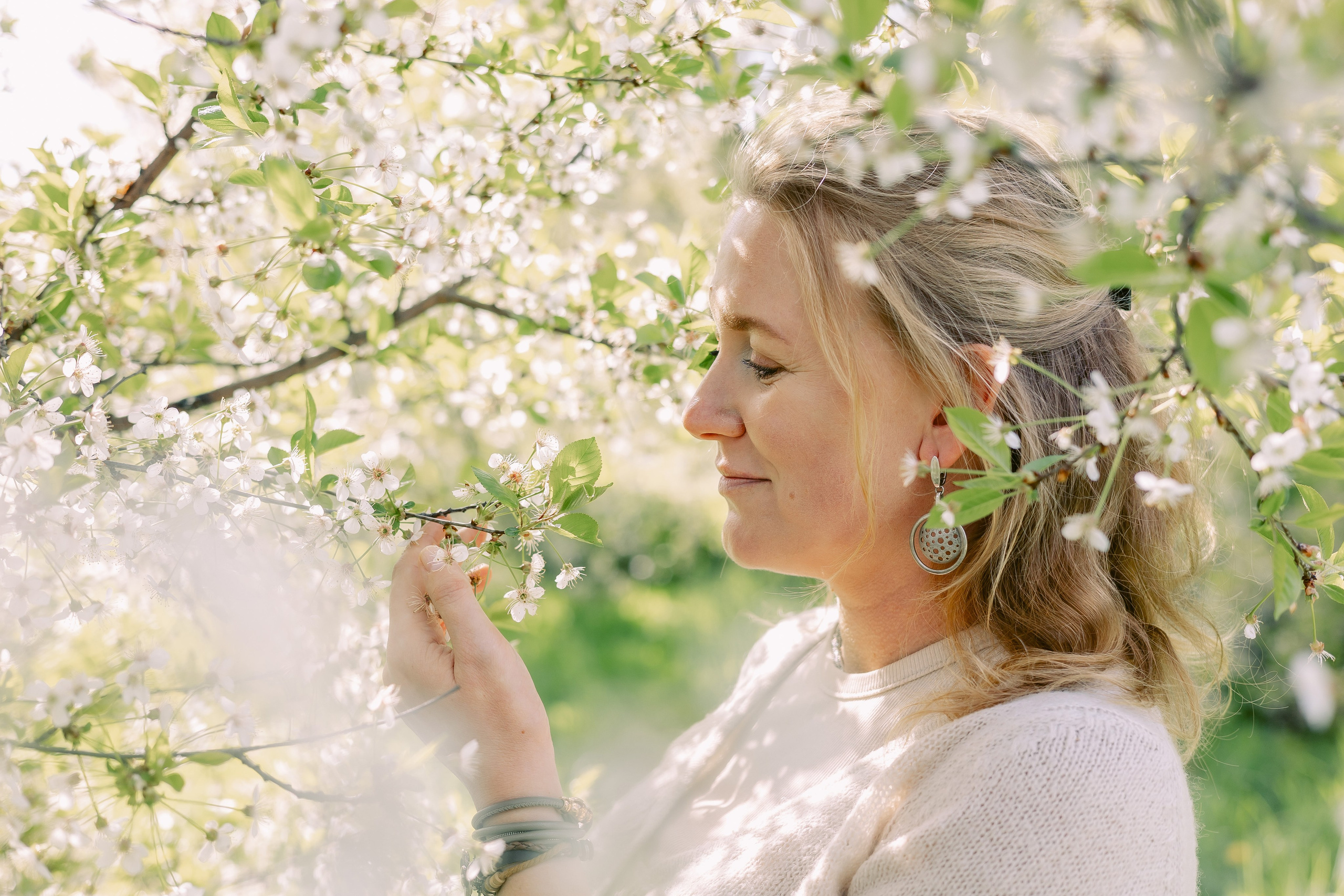 яблони в цвету