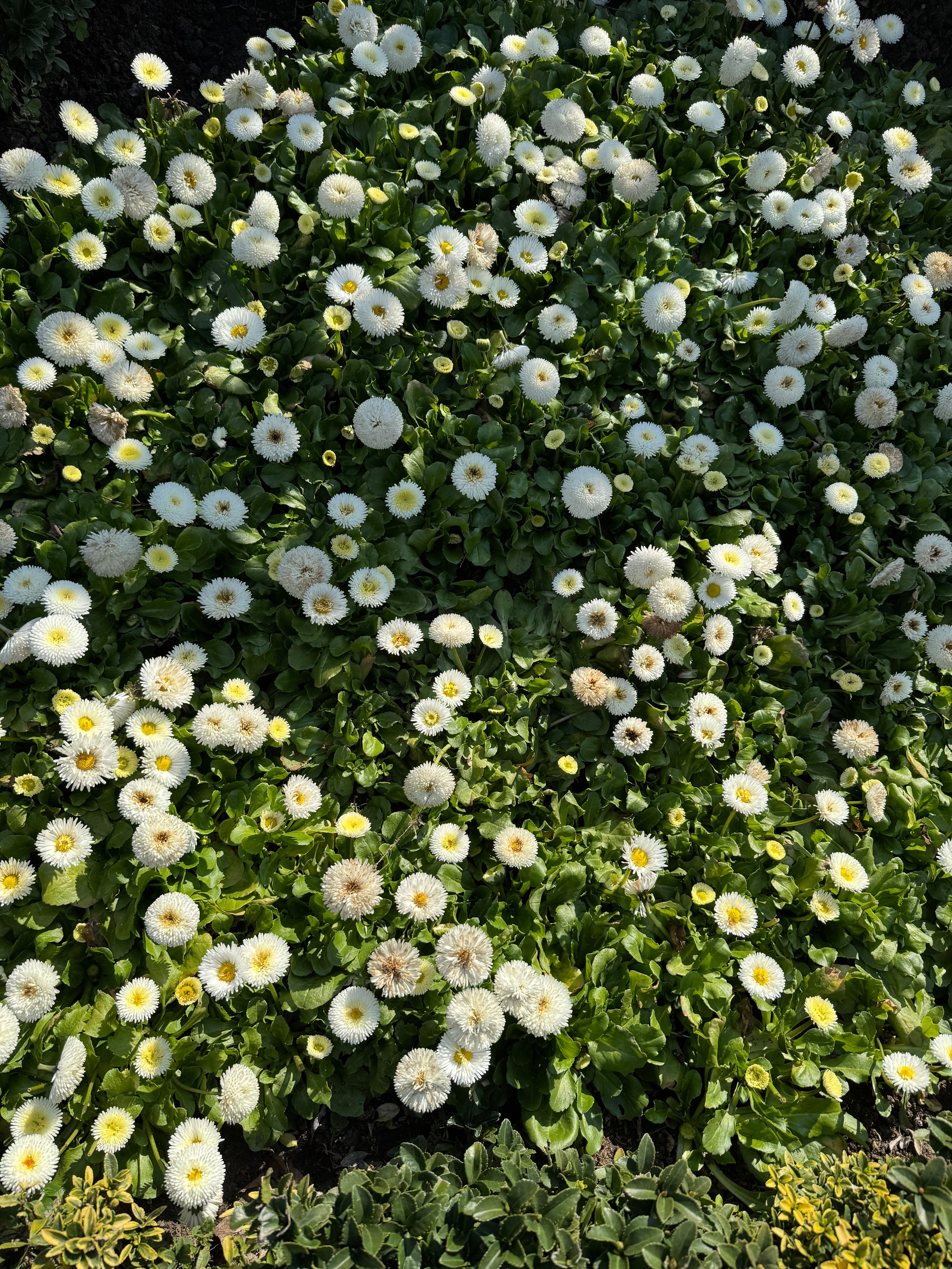 Istanbul. Ph.spitssyna | тюмень