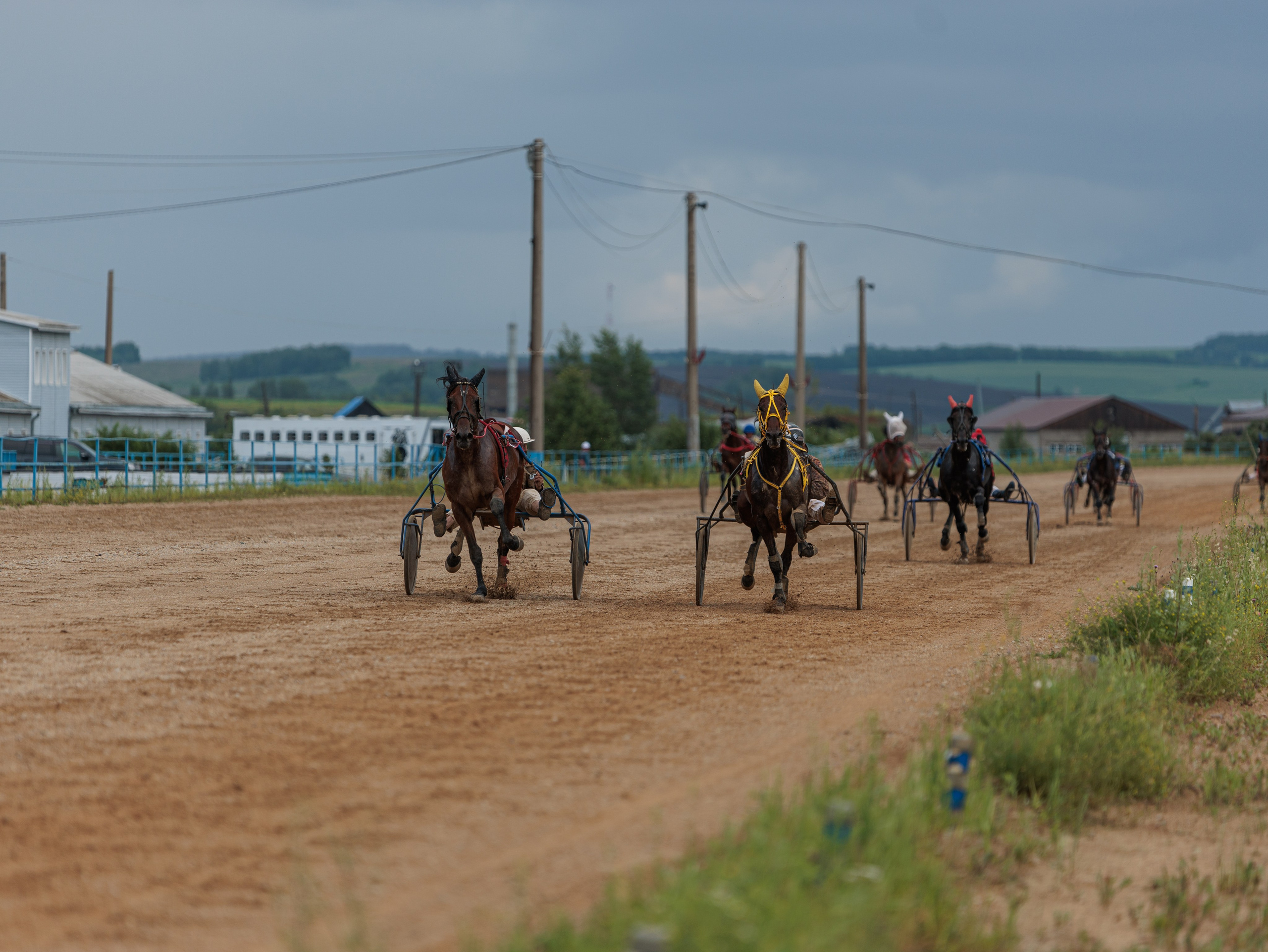 2025. Конный фотограф в Красноярске — Любовь Похабова