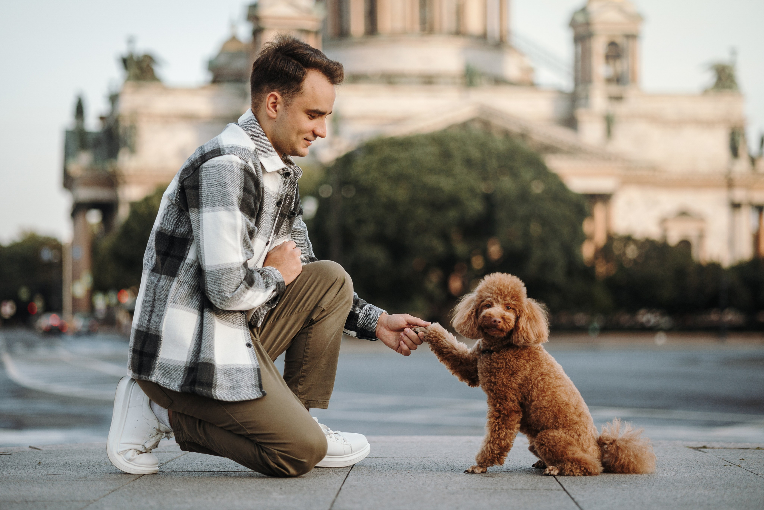 Барни и его семья. Фотограф — Анималист | Санкт-Петербург