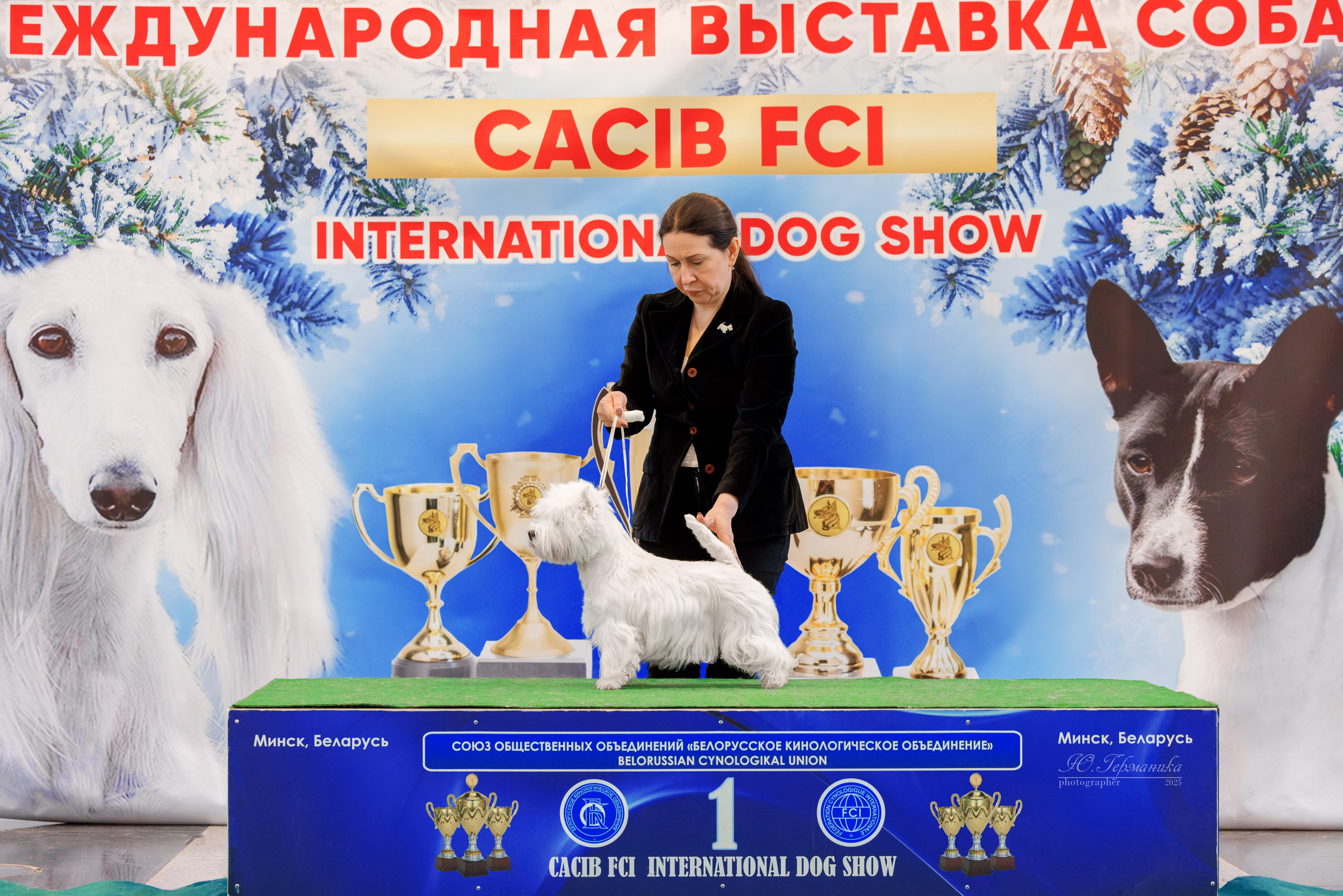 Минск 1-2.03.2025. Фотограф-анималист Юлия Германика