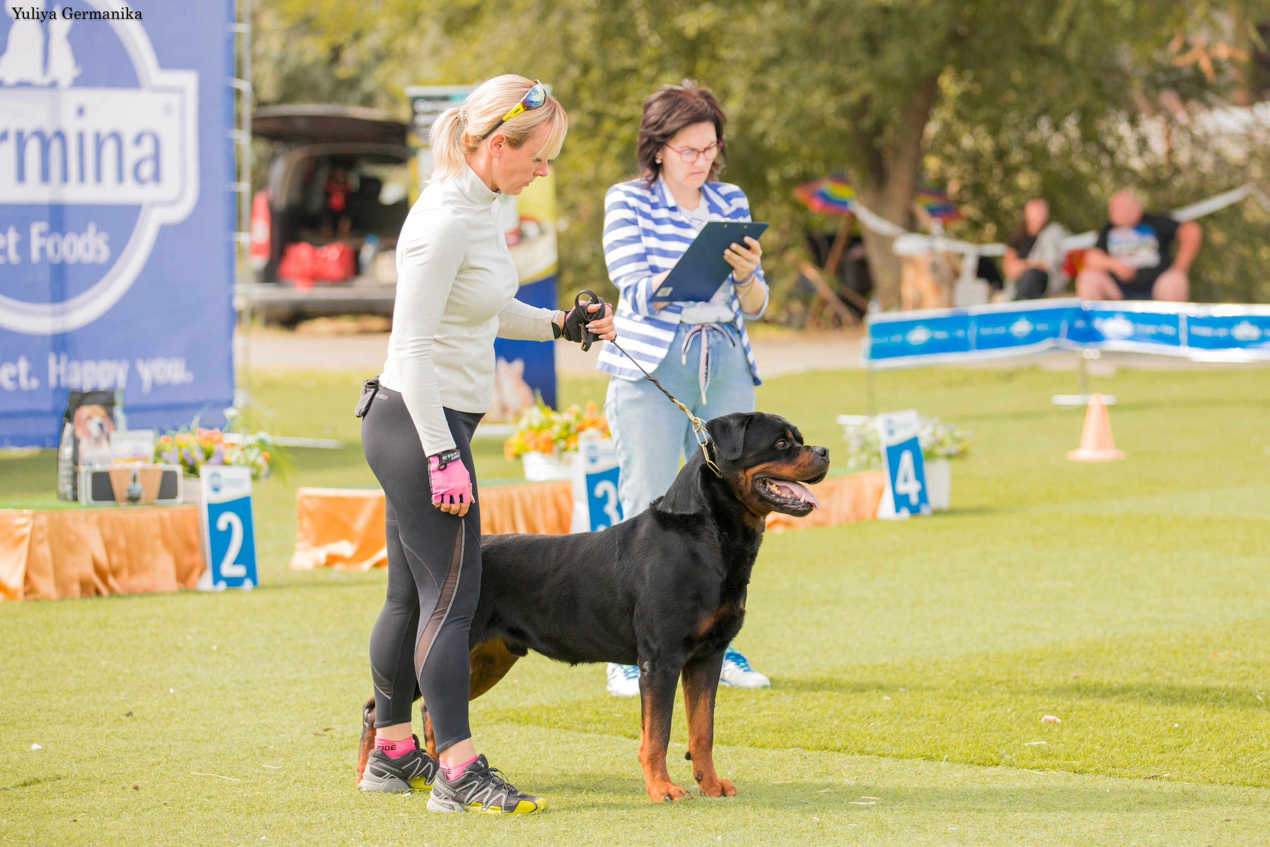 Анапа 16-17.09.2023 моно ротвейлеров. Фотограф-анималист Юлия Германика