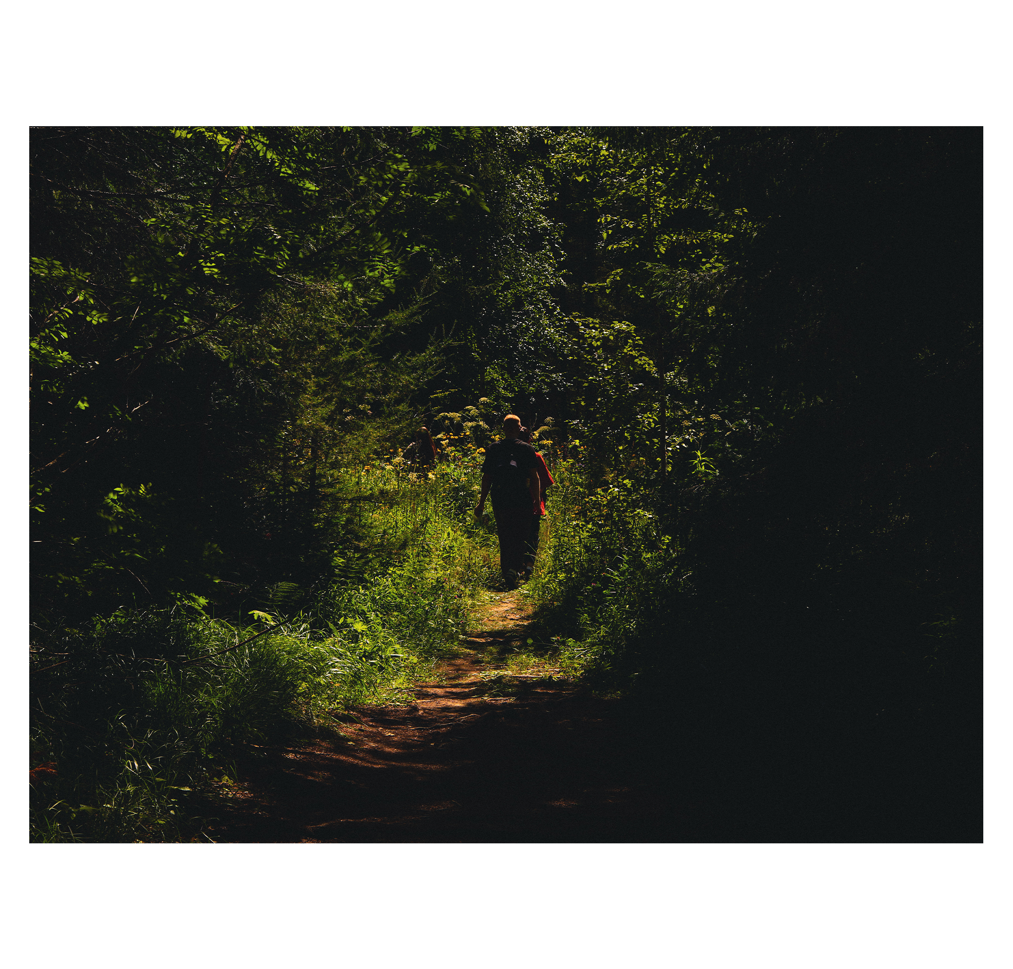 Summer hike. Фотограф/дизайнер в Екатеринбурге Хитрый Дмитрий