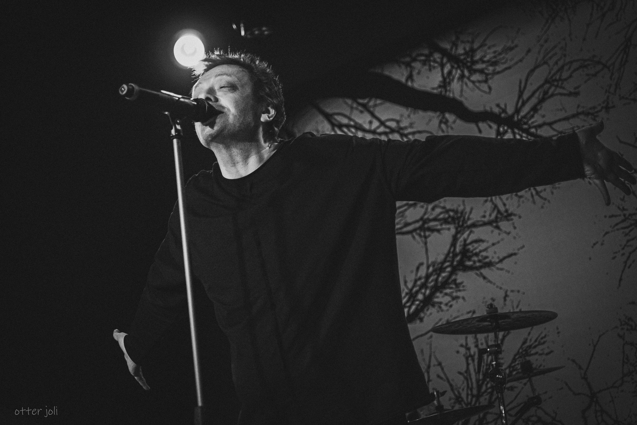 Глеб Самойлов. Концертный репортёр Валерия Сафина