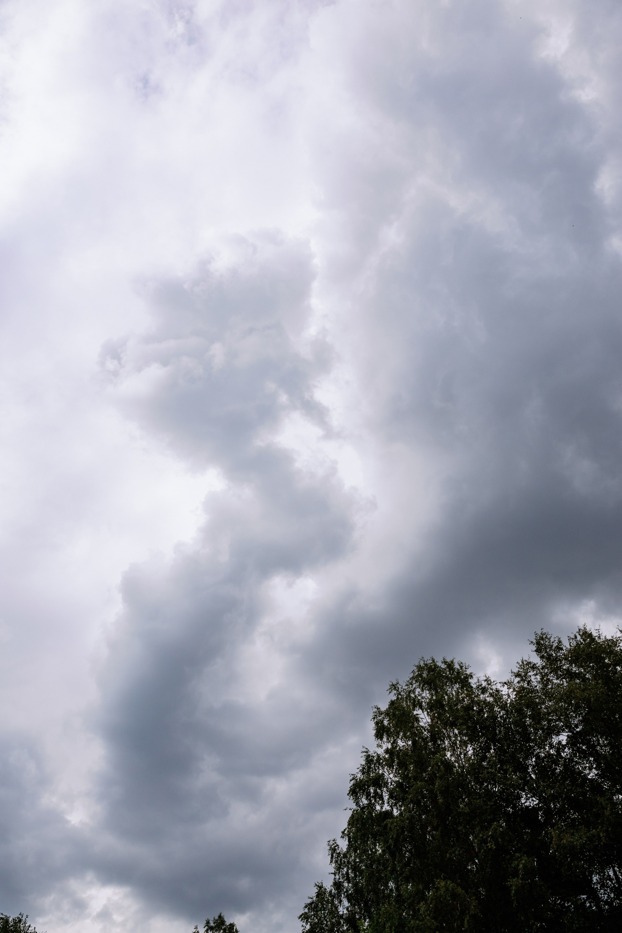 10.08.2023 Дмитрий и Виктория. Фотограф в Красноярске