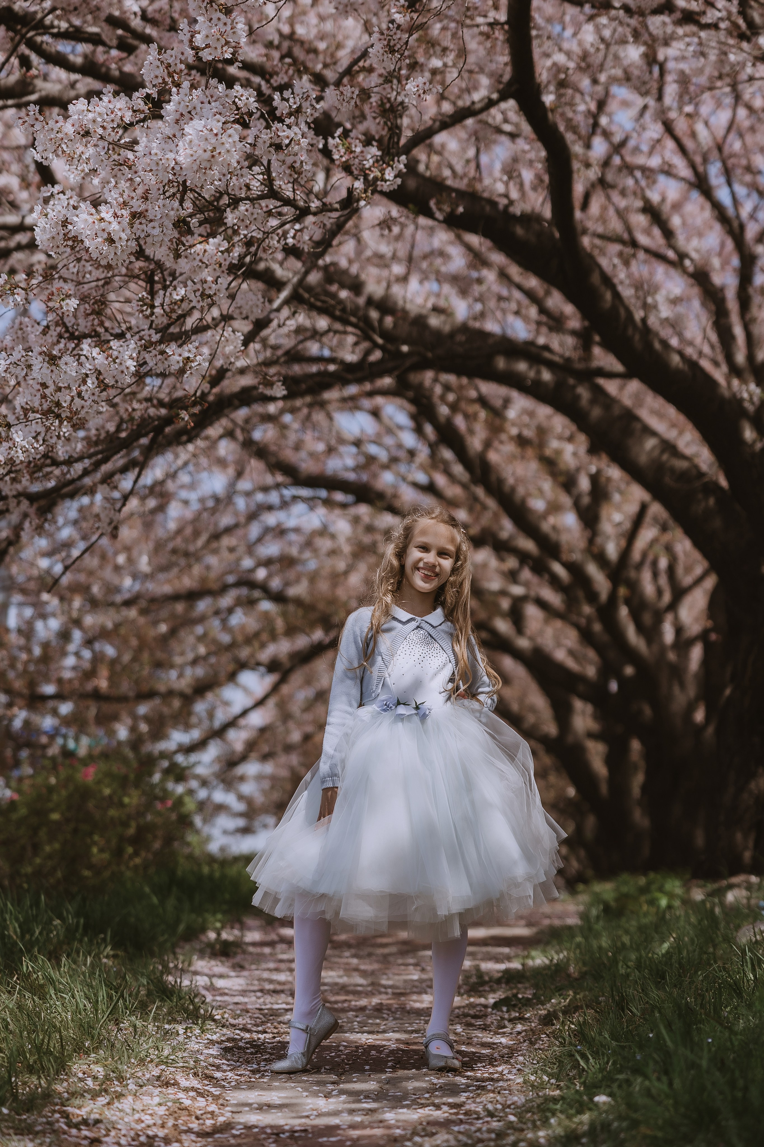 Beautiful girl at a photo shoot with sakura in Korea, Busan. Your photographer in Busan (South Korea) Aleksandra Anufriy